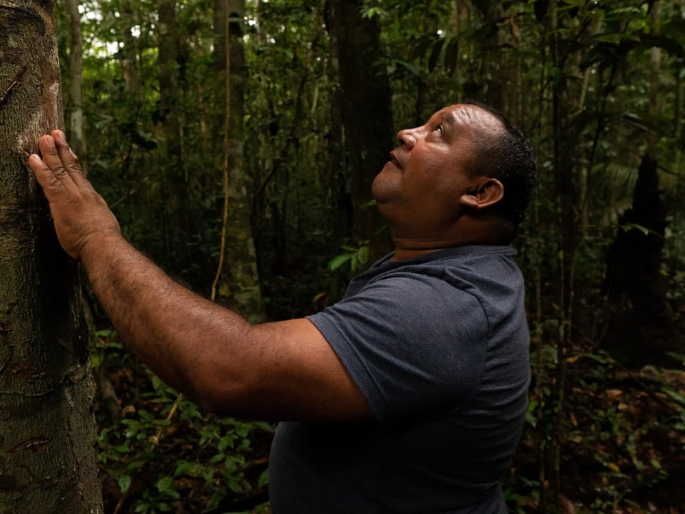 Les gardiens de la forêt amazonienne - Roberto Brito