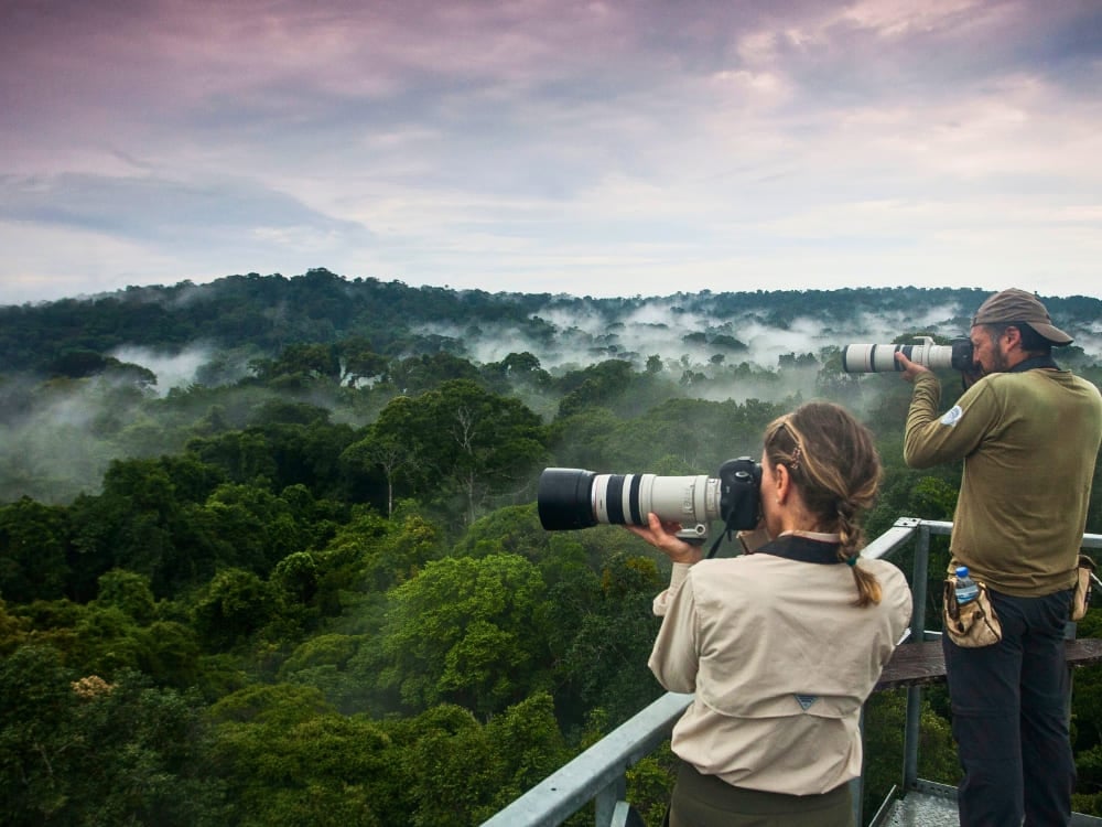 Turistas em uma torre de observação usando câmeras grandes e binóculos para observação da vida selvagem na Amazônia brasileira. Turistas em uma torre de observação usando câmeras grandes e binóculos para observação da vida selvagem na Amazônia brasileira.