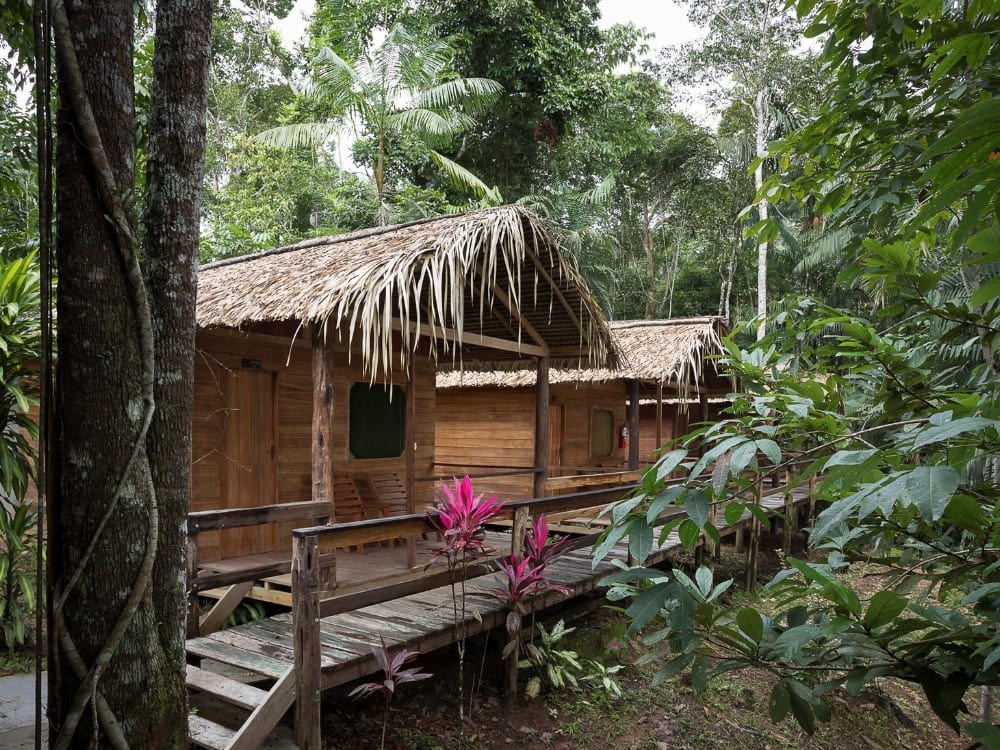 Chalés de madeira com telhado de palha conectados por uma passarela no Dolphin Lodge, um ótimo hotel na floresta amazônica. Chalés de madeira com telhado de palha conectados por uma passarela no Dolphin Lodge, um ótimo hotel na floresta amazônica.