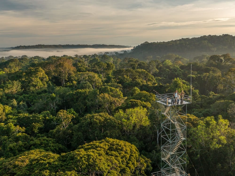 Être au sommet de la tour de 50 mètres du Cristalino Lodge, profiter d'une vue à couper le souffle. – Photo : Andre Dib Vue panoramique depuis la tour du Cristalino Jungle Lodge