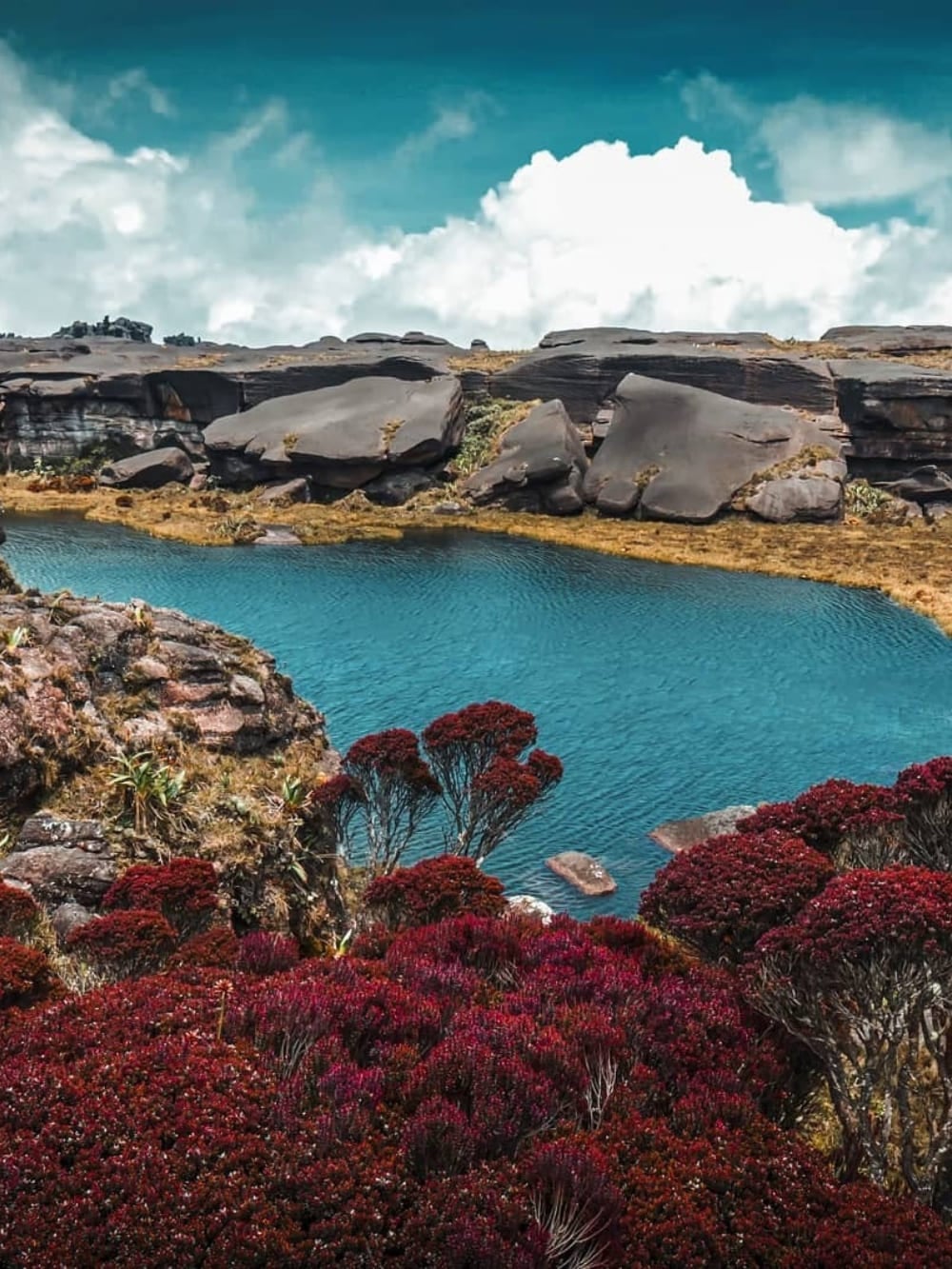 Was ist auf dem Gipfel des Mount Roraima? Was ist auf dem Gipfel des Mount Roraima?