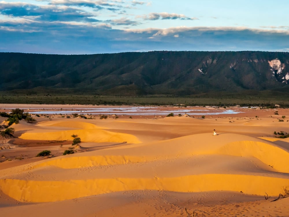 Goldene Sanddünen bei Sonnenuntergang, die die abgelegene Schönheit von Jalapão zeigen, wo sich Sanddünen mitten in der Savanne erheben. Goldene Sanddünen bei Sonnenuntergang, die die abgelegene Schönheit von Jalapão zeigen, wo sich Sanddünen mitten in der Savanne erheben.
