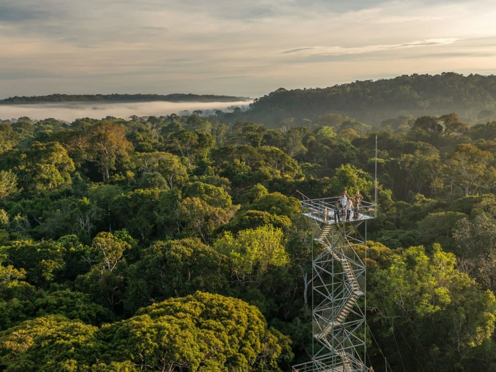 Haute tour d'observation en métal s'élevant au-dessus de la canopée de la forêt Amazonienne au Cristalino Jungle Lodge, dans le Mato Grosso. Haute tour d'observation en métal s'élevant au-dessus de la canopée de la forêt Amazonienne au Cristalino Jungle Lodge, dans le Mato Grosso.