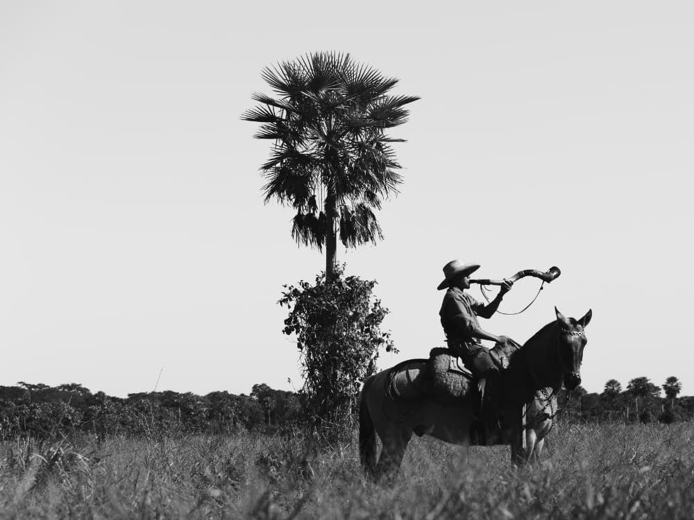 Photo en noir et blanc d'un cow-boy Pantaneiro sur un cheval soufflant dans une corne de bétail, illustrant la richesse culturelle du Pantanal. Photo en noir et blanc d'un cow-boy Pantaneiro sur un cheval soufflant dans une corne de bétail, illustrant la richesse culturelle du Pantanal.