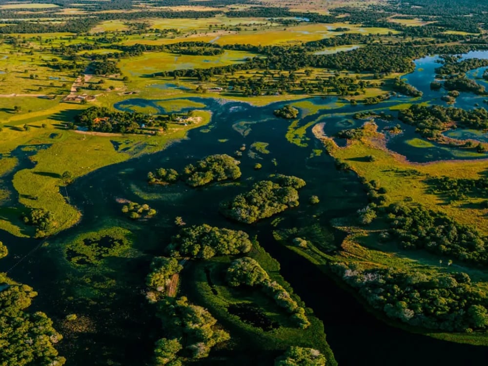 Des rivières sinueuses et des savanes vertes dominent le paysage reculé du Pantanal Sud près de Baía das Pedras. Des rivières sinueuses et des savanes vertes dominent le paysage reculé du Pantanal Sud près de Baía das Pedras.