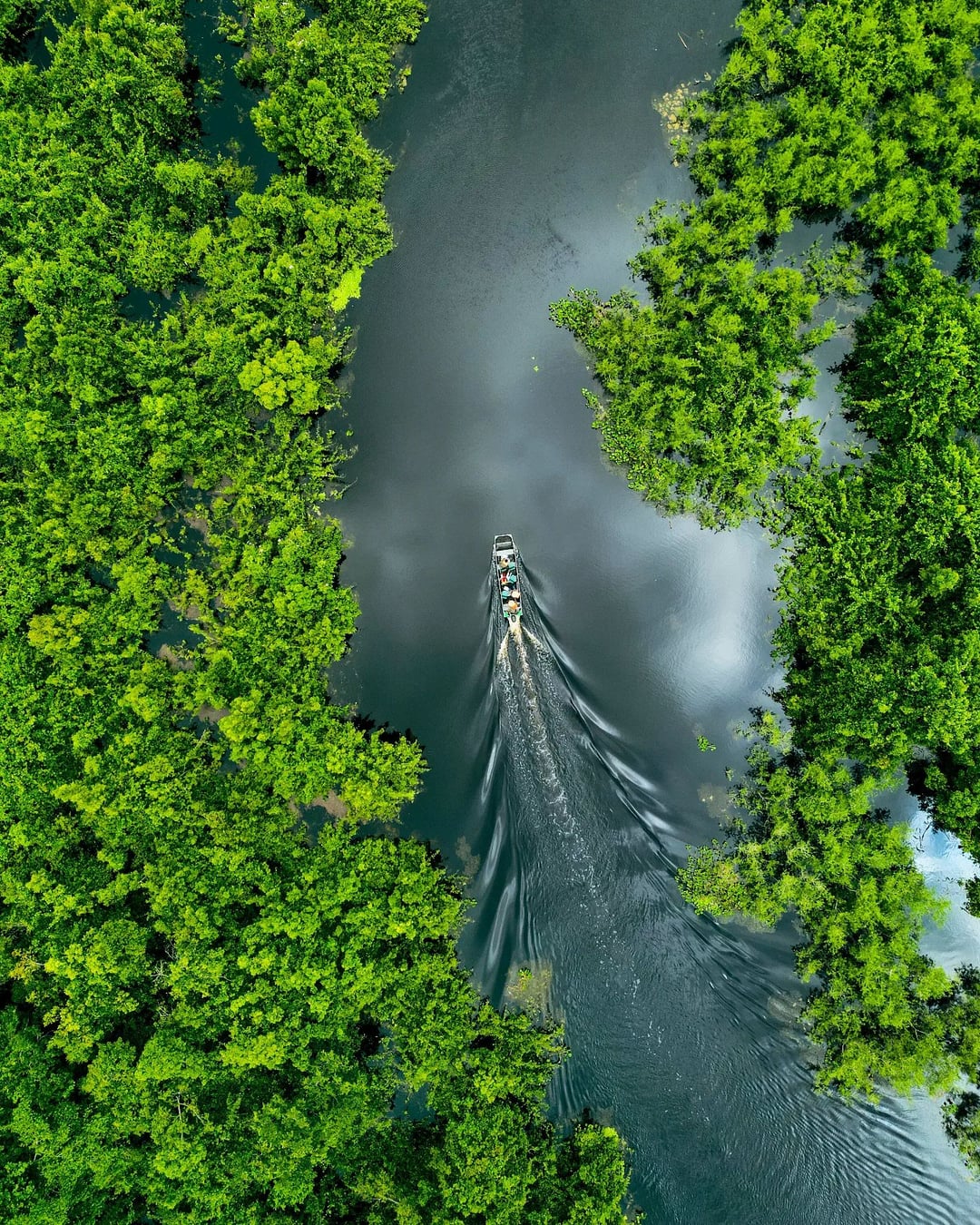 Een luchtfoto van een boot die door weelderige groene waterwegen navigeert tijdens het natte seizoen, de beste tijd om de Pantanal te bezoeken voor landschapsfotografie. Een luchtfoto van een boot die door weelderige groene waterwegen navigeert tijdens het natte seizoen, de beste tijd om de Pantanal te bezoeken voor landschapsfotografie.