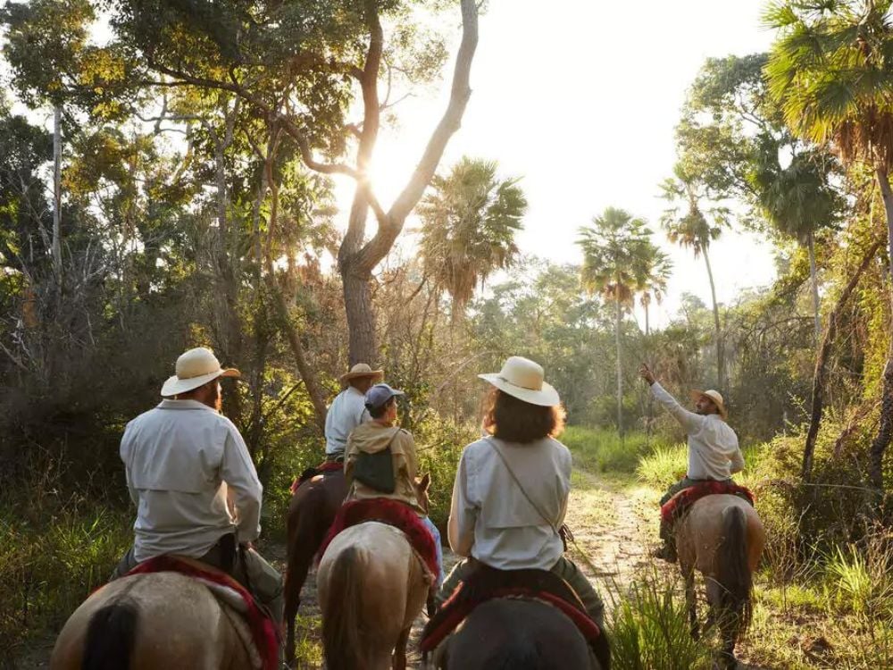 Gruppe von Touristen, die auf Pferden durch die Pantanal-Feuchtgebiete reitet, geführt von lokalen Experten. Gruppe von Touristen, die auf Pferden durch die Pantanal-Feuchtgebiete reitet, geführt von lokalen Experten.