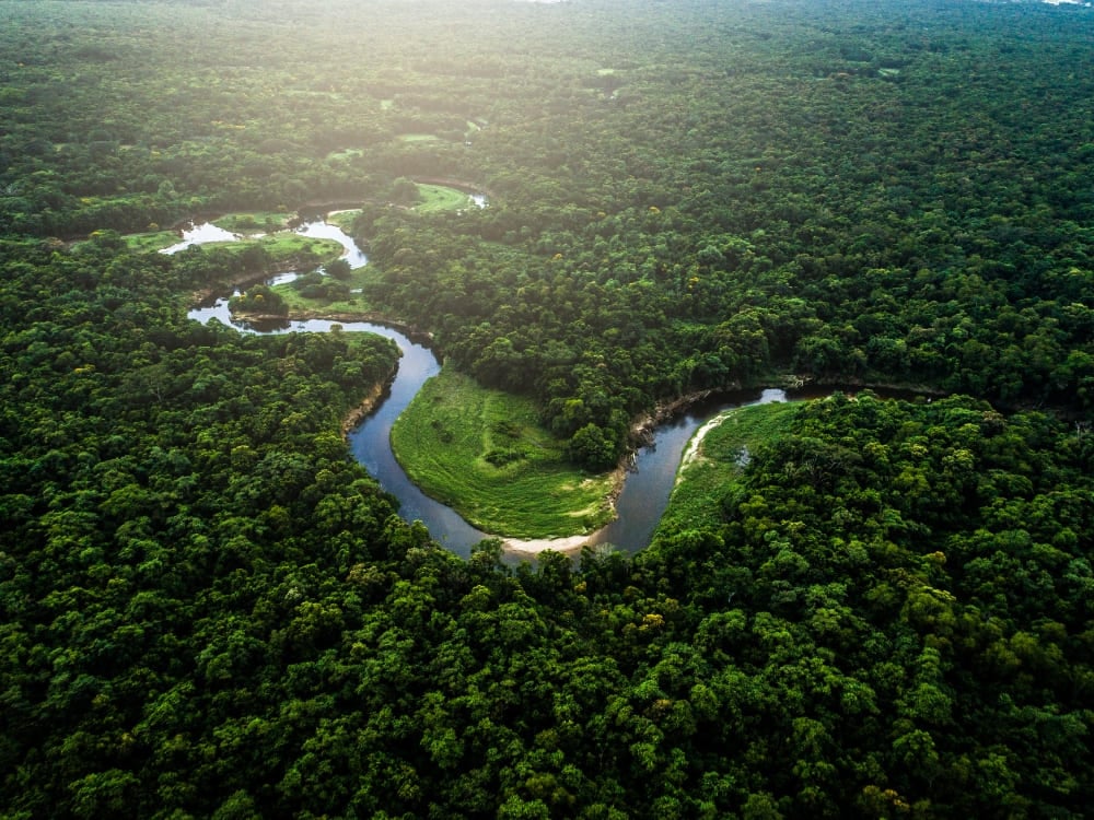 Vue aérienne d'un fleuve sinueux entouré par la végétation verte et dense de la forêt amazonienne au Brésil. Vue aérienne d'un fleuve sinueux entouré par la végétation verte et dense de la forêt amazonienne au Brésil.