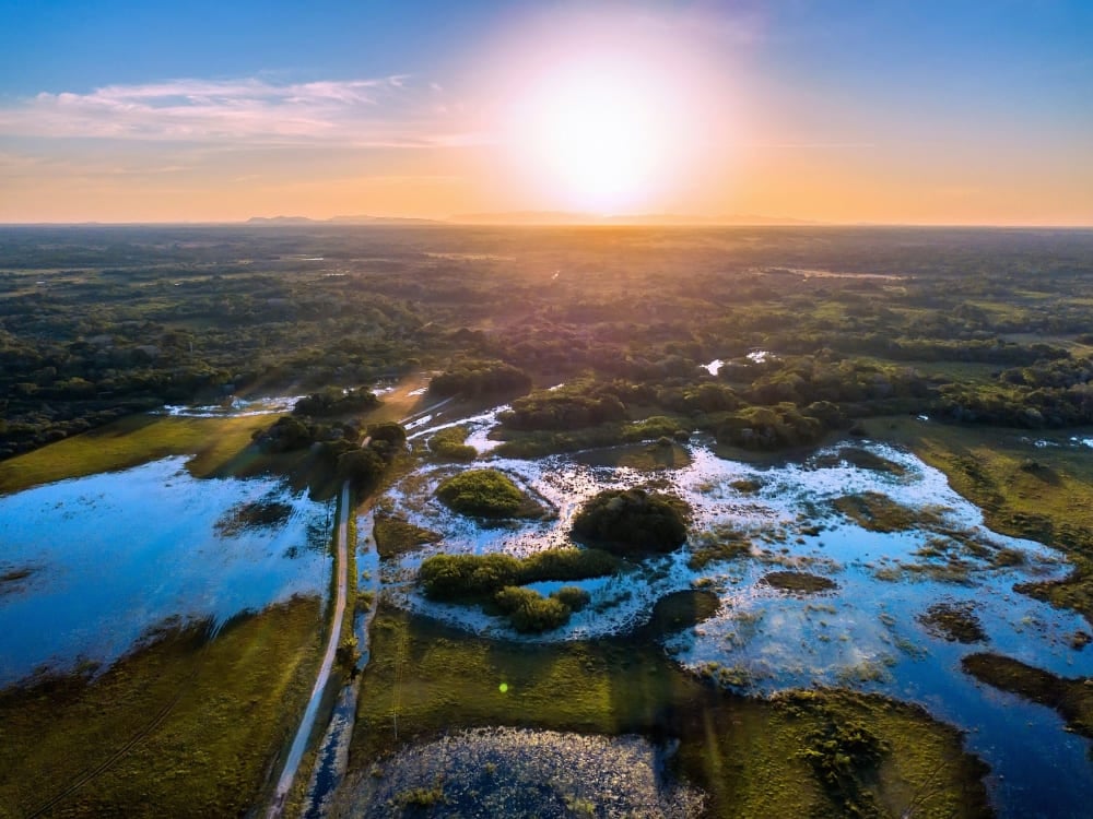 Vista aérea das áreas alagadas ilustrando a geografia vasta para quem decide visitar o Pantanal norte ou sul em sua viagem de ecoturismo. Vista aérea das áreas alagadas ilustrando a geografia vasta para quem decide visitar o Pantanal norte ou sul em sua viagem de ecoturismo.