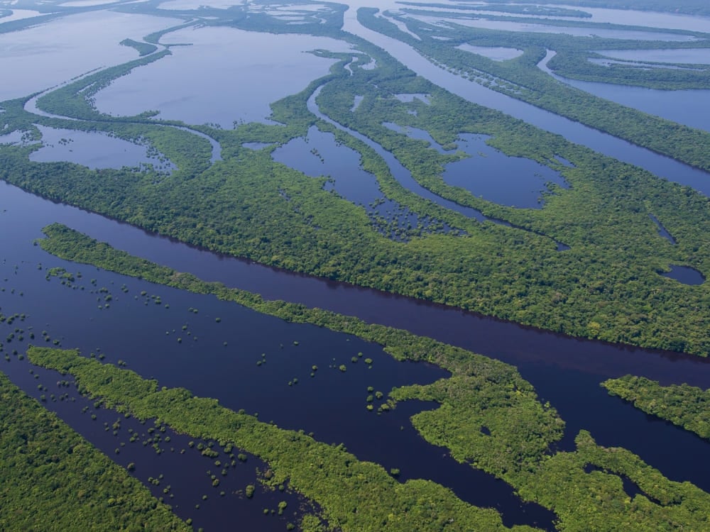 Vista aérea do Parque Nacional de Anavilhanas mostrando ilhas com vegetação densa cortadas pelas águas do Rio Negro. Vista aérea do Parque Nacional de Anavilhanas mostrando ilhas com vegetação densa cortadas pelas águas do Rio Negro.