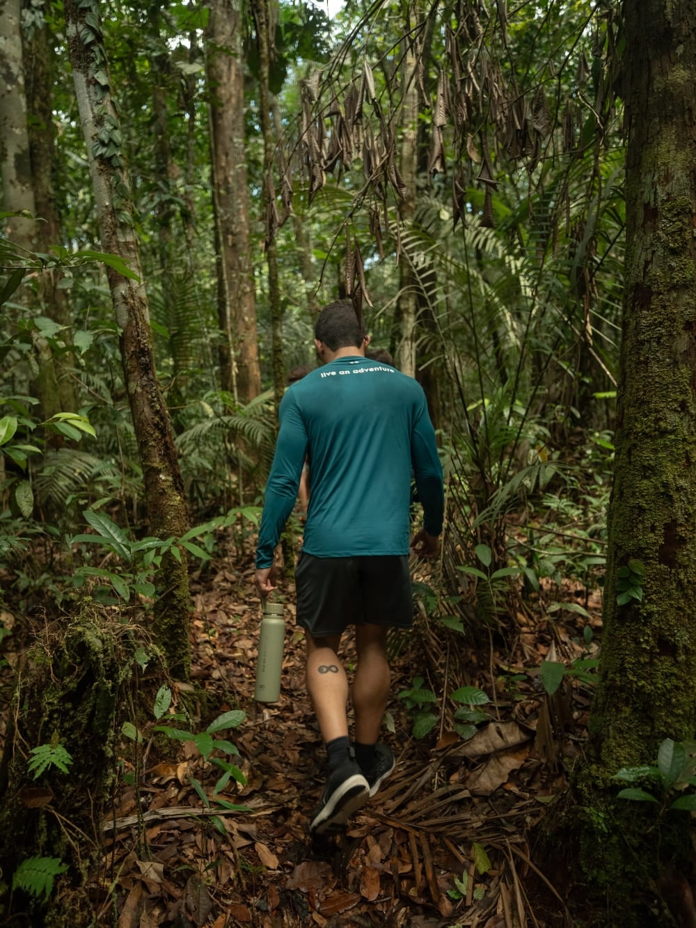 Turista caminhando por uma trilha densa na Floresta Amazônica no Brasil. Turista caminhando por uma trilha densa na Floresta Amazônica no Brasil.