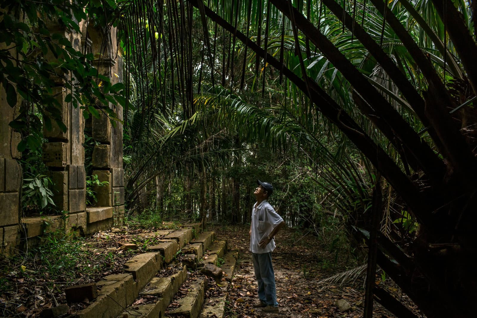A floresta foi retomando esse lugar, devagar, sem pressa. Um homem de camisa branca e boné olha para cima em direção a palmeiras altas que se arqueiam sobre as ruínas de pedra musgosas de Airão Velho, cercado pela densa floresta amazônica