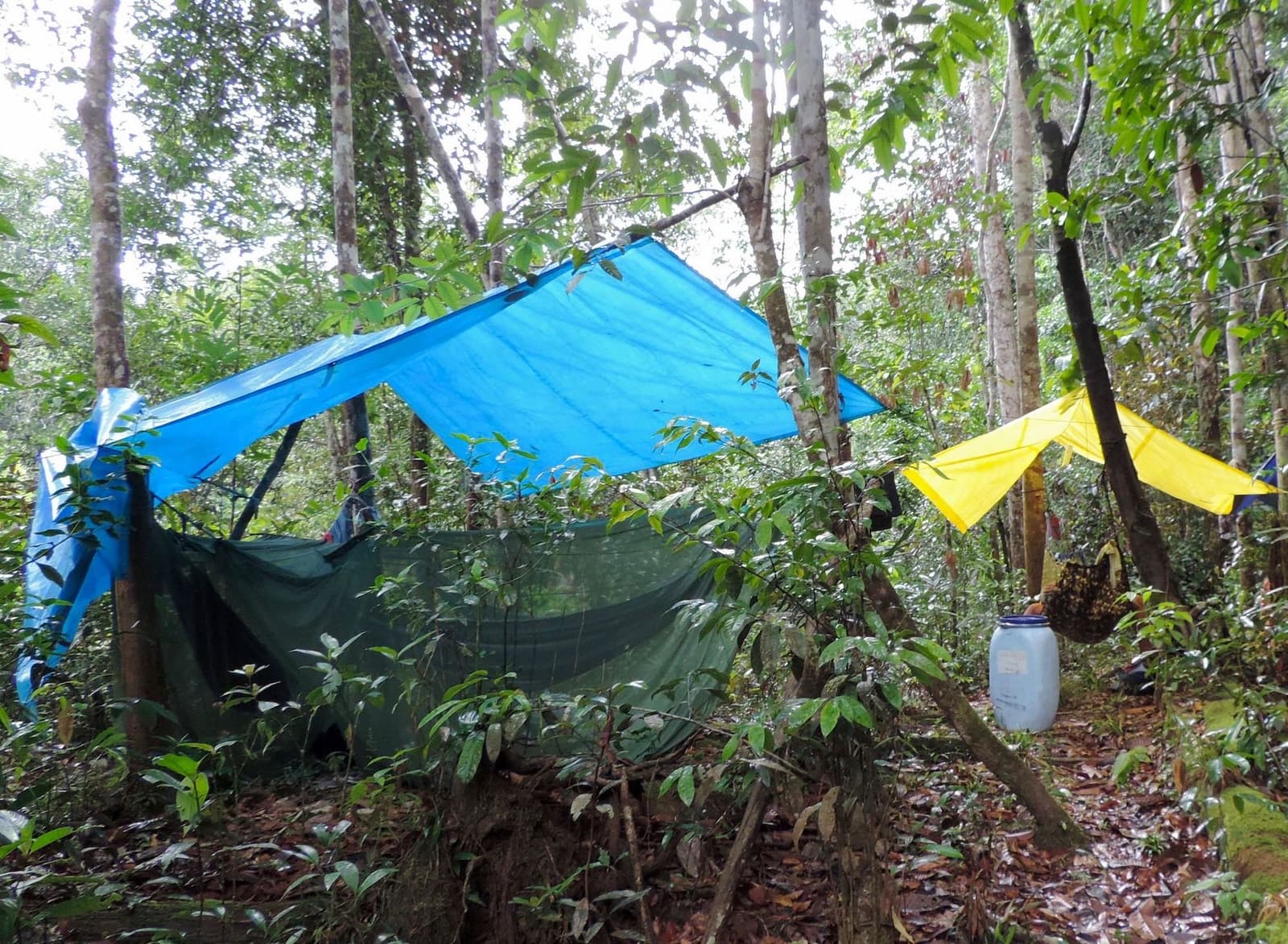 Quatre étoiles version jungle : une bâche, un hamac, et le chant des grenouilles inclus. Un hamac avec moustiquaire abrité sous une bâche bleue tendue entre des arbres de la forêt tropicale, hébergement de fortune lors d'une aventure en jungle amazonienne au Brésil, avec une bâche jaune et un bidon scellé à proximité