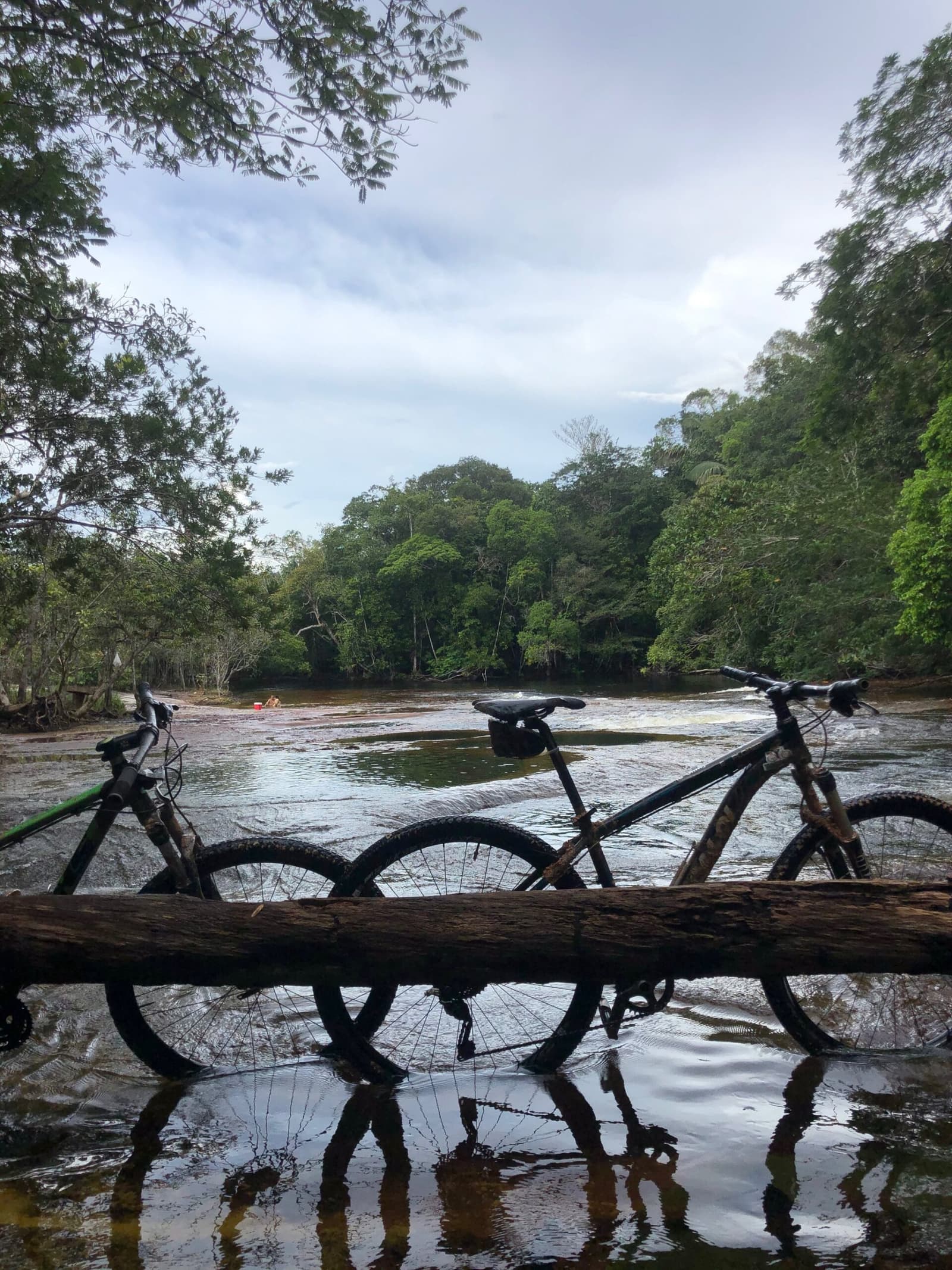 Les vélos font une pause, la forêt prend le relais. Deux vélos de montagne appuyés contre un tronc moussu au bord d'une rivière peu profonde en pleine jungle, avec une canopée amazonienne dense sur la rive opposée lors de cette aventure en forêt amazonienne au Brésil
