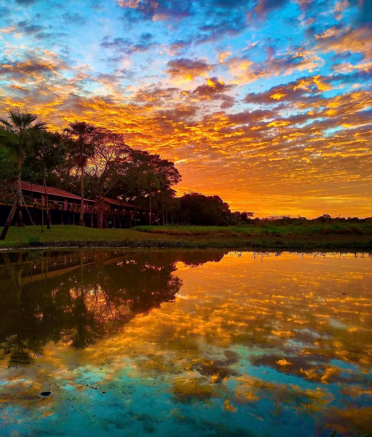 So sehen Pantanal-Abende aus, die man nicht schnell vergisst. Ein feuriger orange-blauer Sonnenuntergangshimmel spiegelt sich im stillen Wasser des Miranda-Flusses wider, mit einer rustikalen Lodge im Pantanal als Silhouette zwischen Palmen am linken Ufer