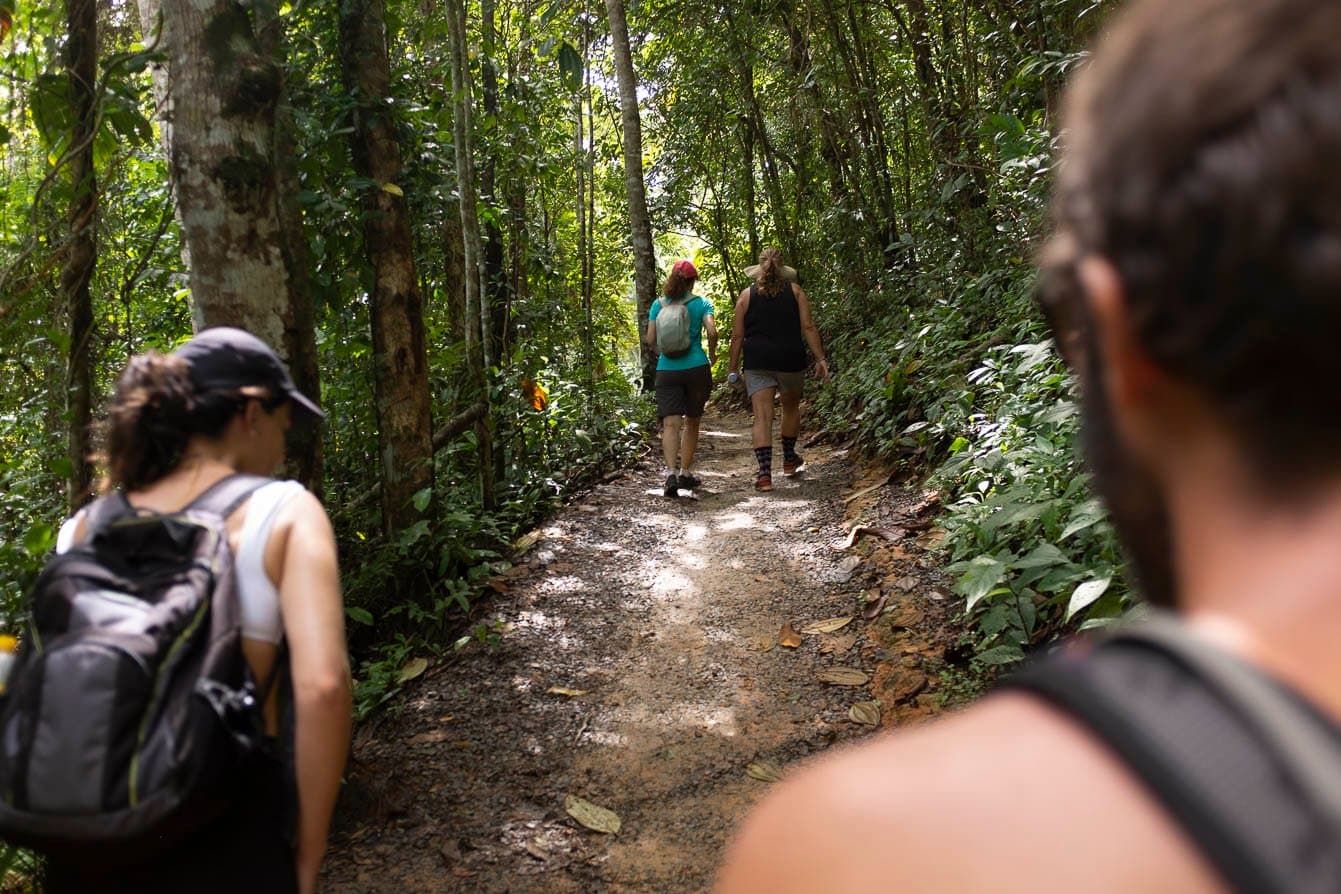 As bicicletas ficaram pra trás, mas a floresta não deixa o ritmo cair. Um pequeno grupo de caminhantes com mochilas percorrendo uma trilha estreita de terra pela Mata Atlântica densa perto de Itacaré, na rota de ciclismo da Bahia