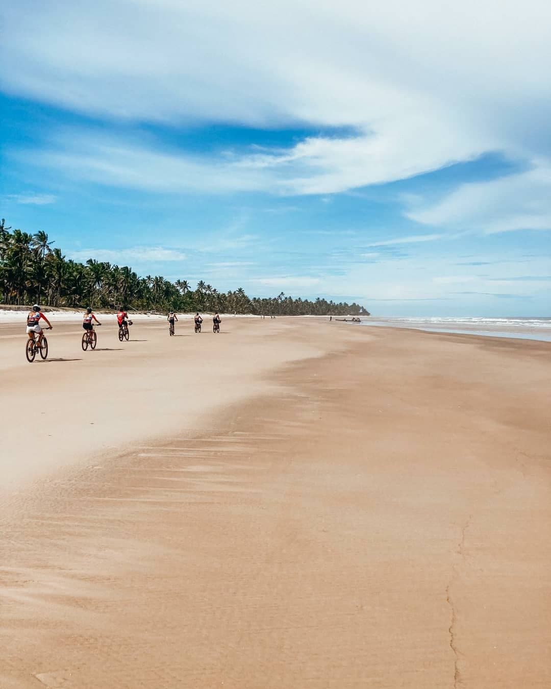 Areia firme, costa aberta, e ainda muita praia pela frente. Um grupo de seis ciclistas pedala ao longo de uma ampla praia de areia plana na rota de ciclismo pela Bahia, com uma densa fileira de coqueiros à esquerda e o Atlântico à direita sob um céu azul parcialmente nublado