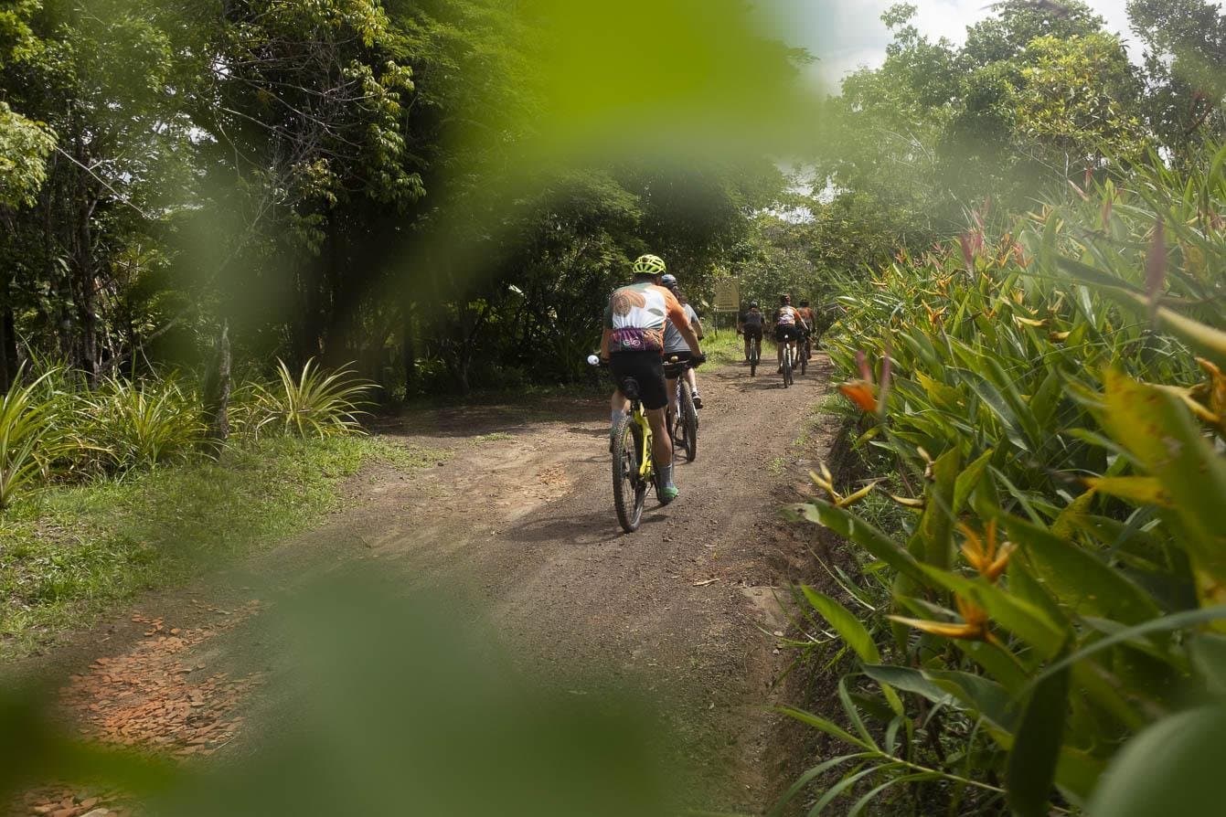 Estrada de chão, árvores dos dois lados, grupo inteiro no ritmo. Um grupo de ciclistas pedala em fila por uma trilha de terra estreita ladeada por vegetação tropical durante um passeio de ciclismo na Bahia pela rota do cacau