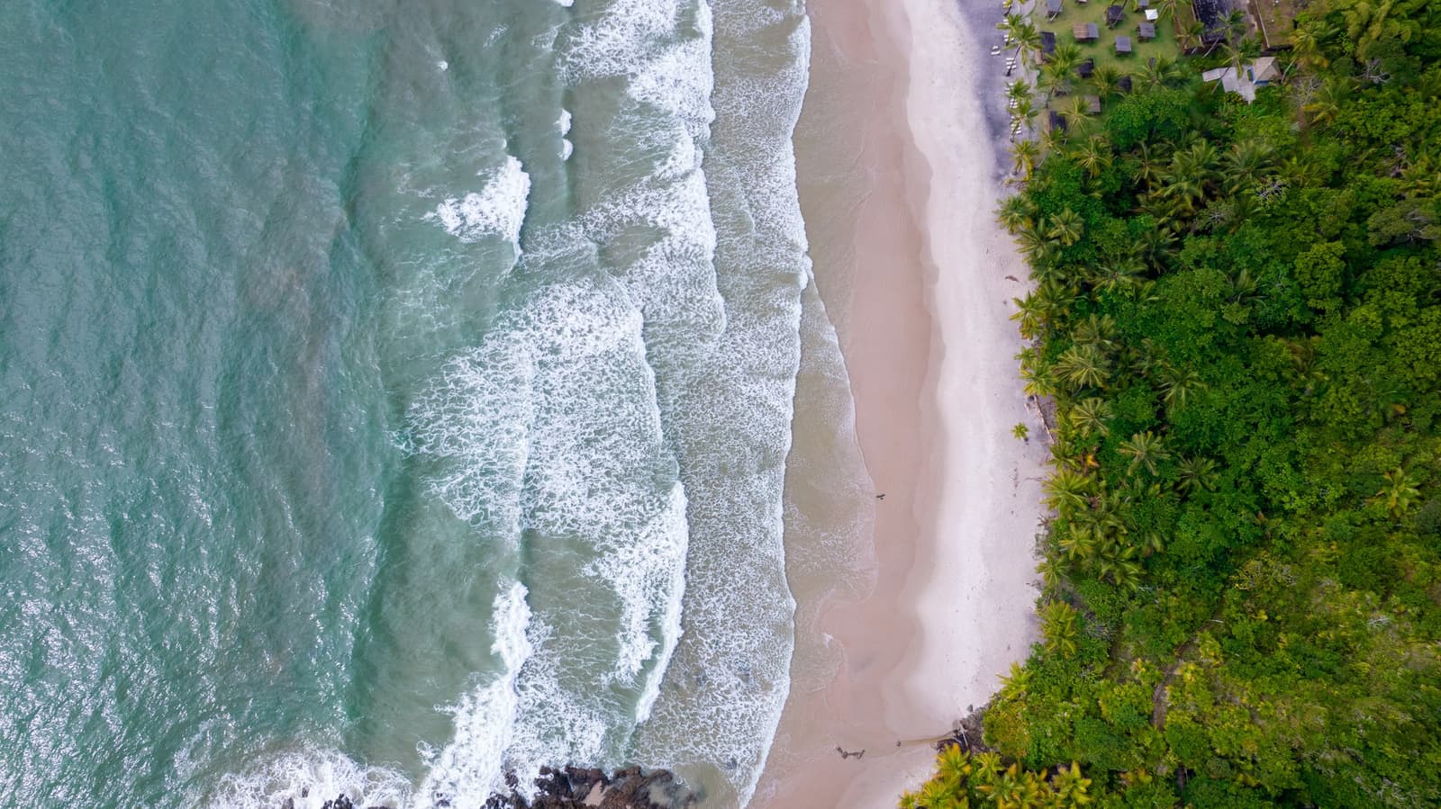 Quarenta quilômetros nas pernas, e é isso que espera no fim do dia. Photo: Pedro Truffi Vista aérea de uma praia de areia branca na rota de cicloturismo na Bahia, com ondas turquesas chegando pela esquerda e uma densa copa de palmeiras da Mata Atlântica à direita, uma pequena pousada visível entre as árvores