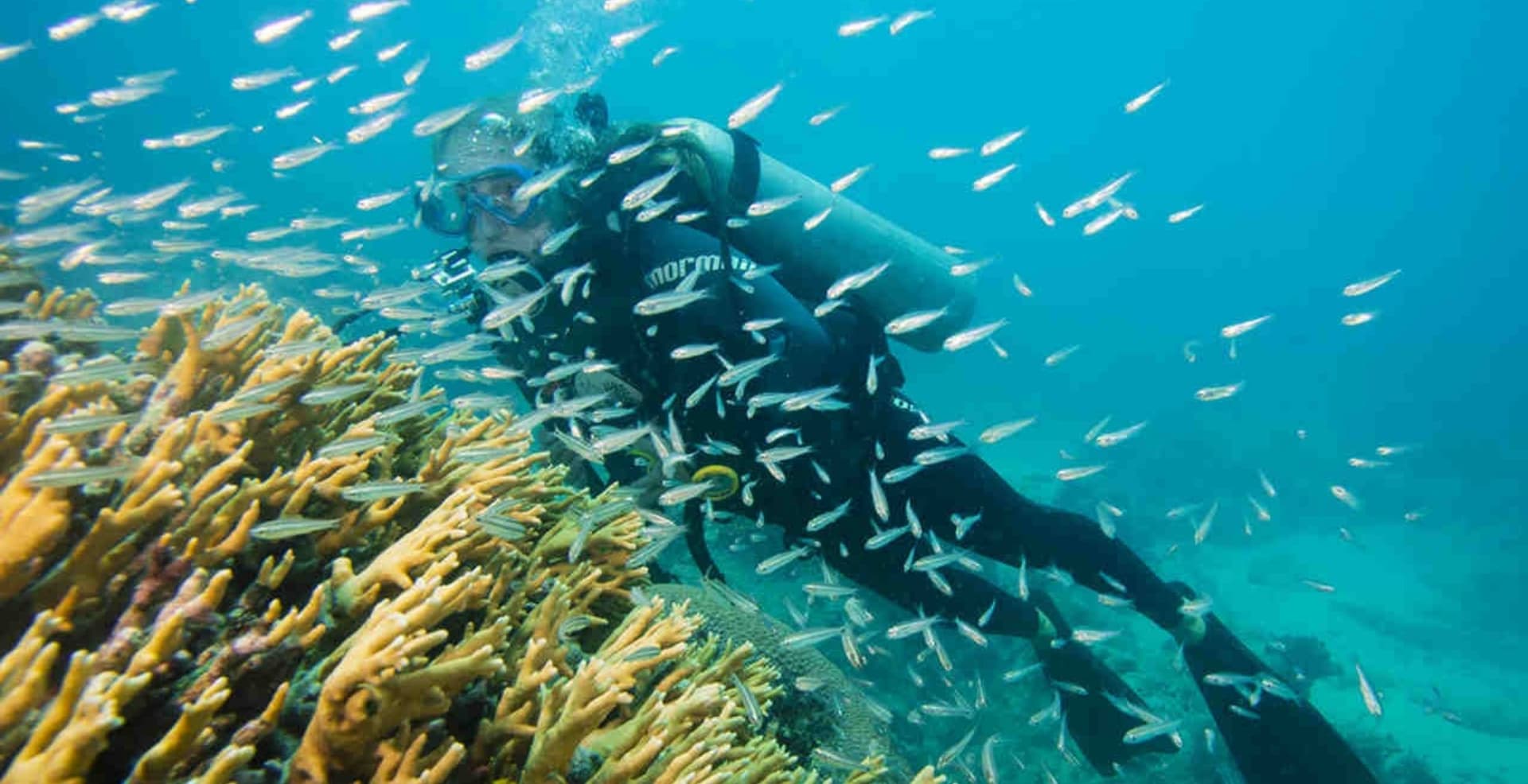 Tour de buceo en Abrolhos, el primer parque marino de Brasil Tour de buceo en Abrolhos, el primer parque marino de Brasil