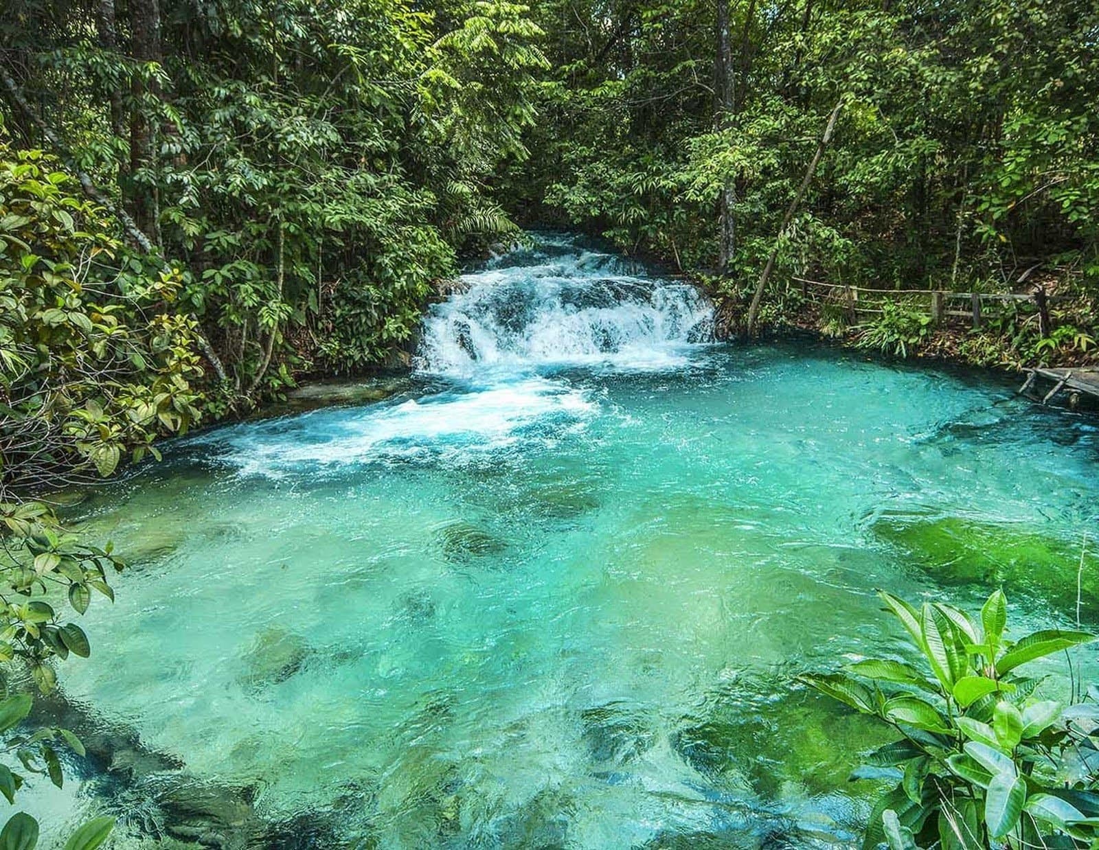 Água tão transparente que a pedra lá no fundo parece perto. Uma piscina natural de fervedouro em tons turquesa alimentada por uma pequena cachoeira deságua em água cristalina cercada por mata fechada em uma aventura no Jalapão