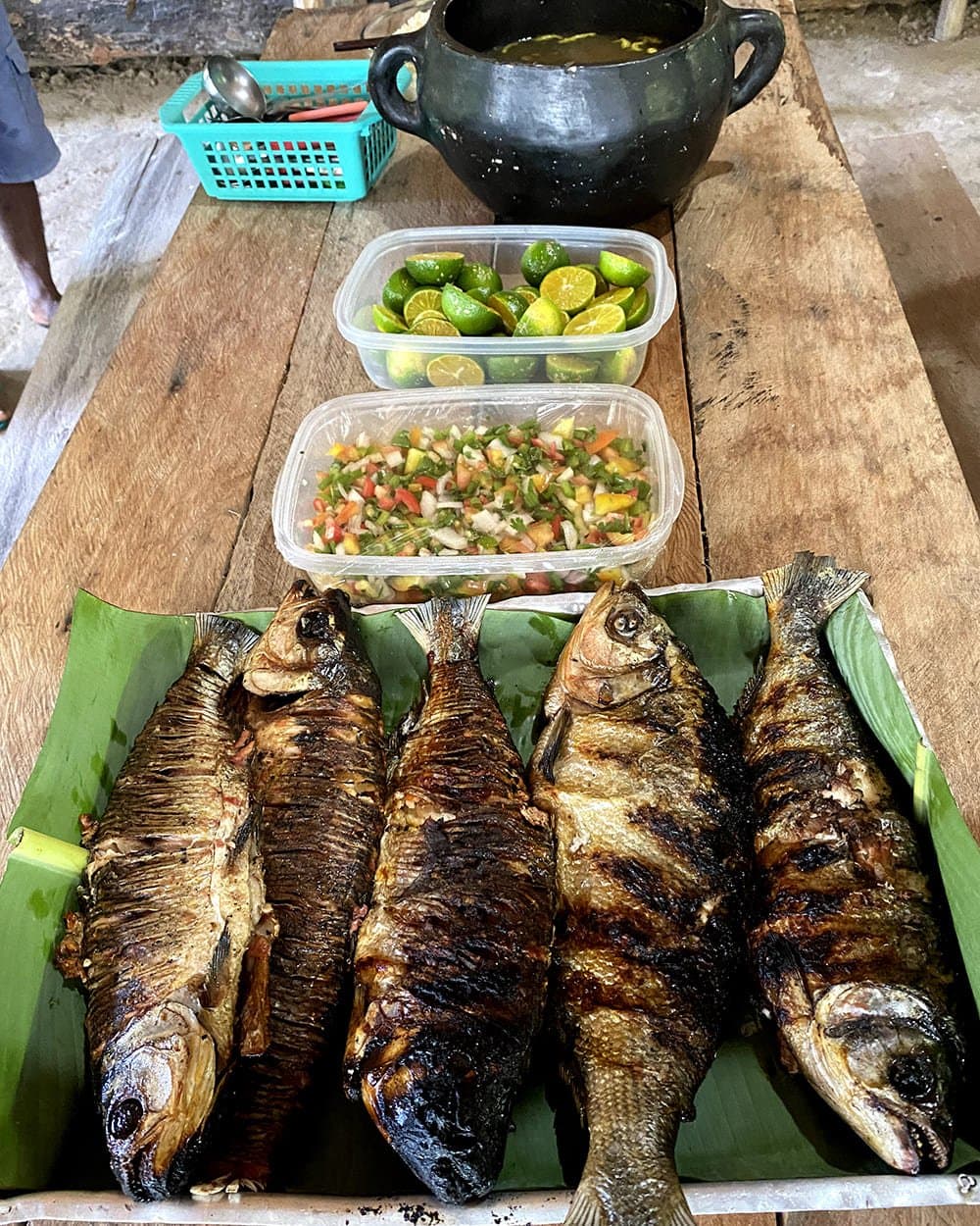 Gevangen, geroosterd, opgediend op bananenblad. De Amazone houdt de lunch simpel. Vier hele gegrilde vissen op bananenbladeren op een houten tafel, geserveerd met verse limoenen, een gehakte groentesalsa en een zwarte aardewerken pot bouillon tijdens een eetmoment van de Pico da Neblina Expeditie