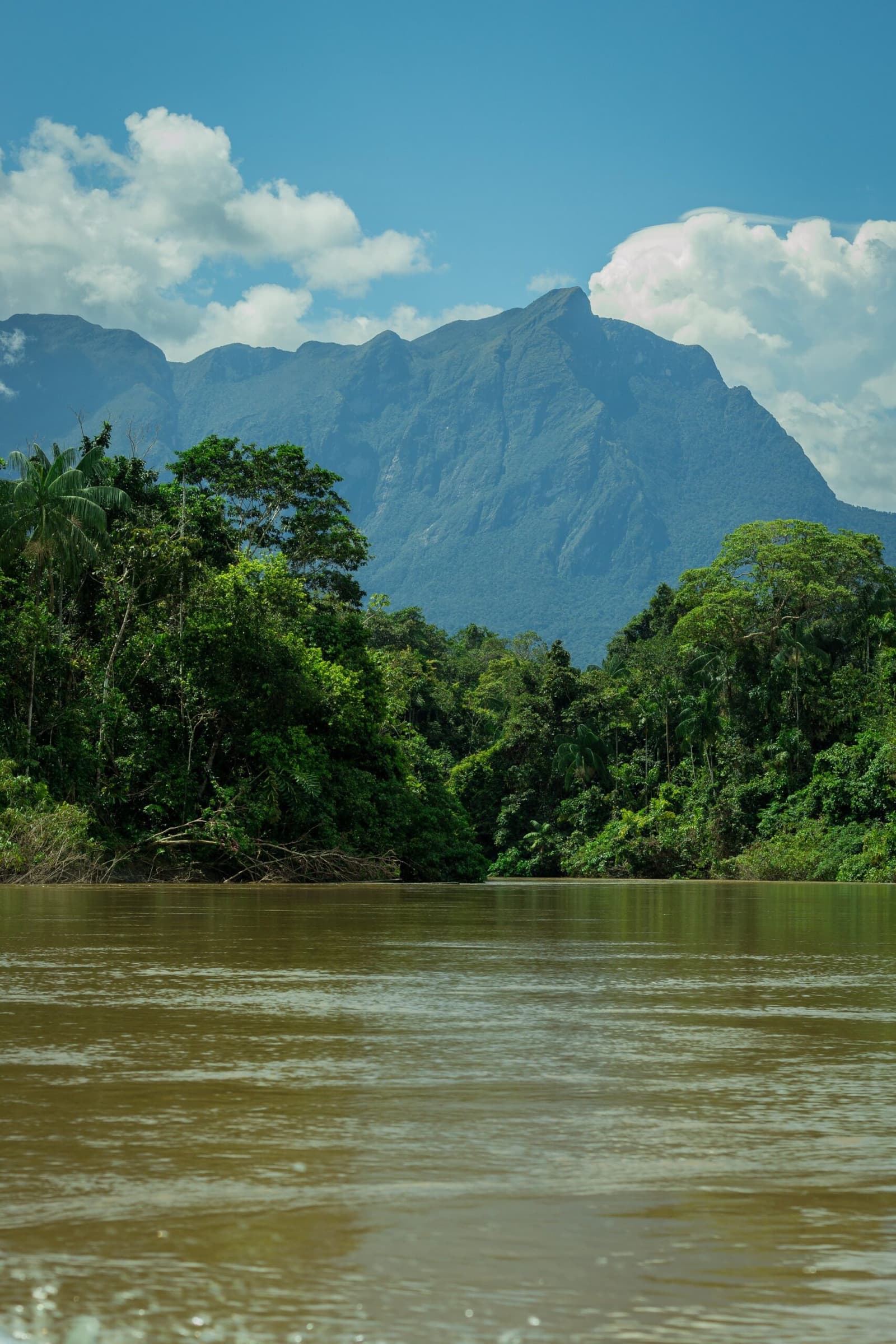 De berg in de verte, de rivier vlak onder je. Zo kondigt dit avontuur zich aan. Een brede, slibrijke rivier weerkaatst groen licht terwijl dicht Amazoneregenwoud beide oevers omzoomt en een hoge, spitse bergpiek achter het bladerdak oprijst onder een gedeeltelijk bewolkte blauwe hemel — een indrukwekkend landschap tijdens de Pico da Neblina Expeditie.