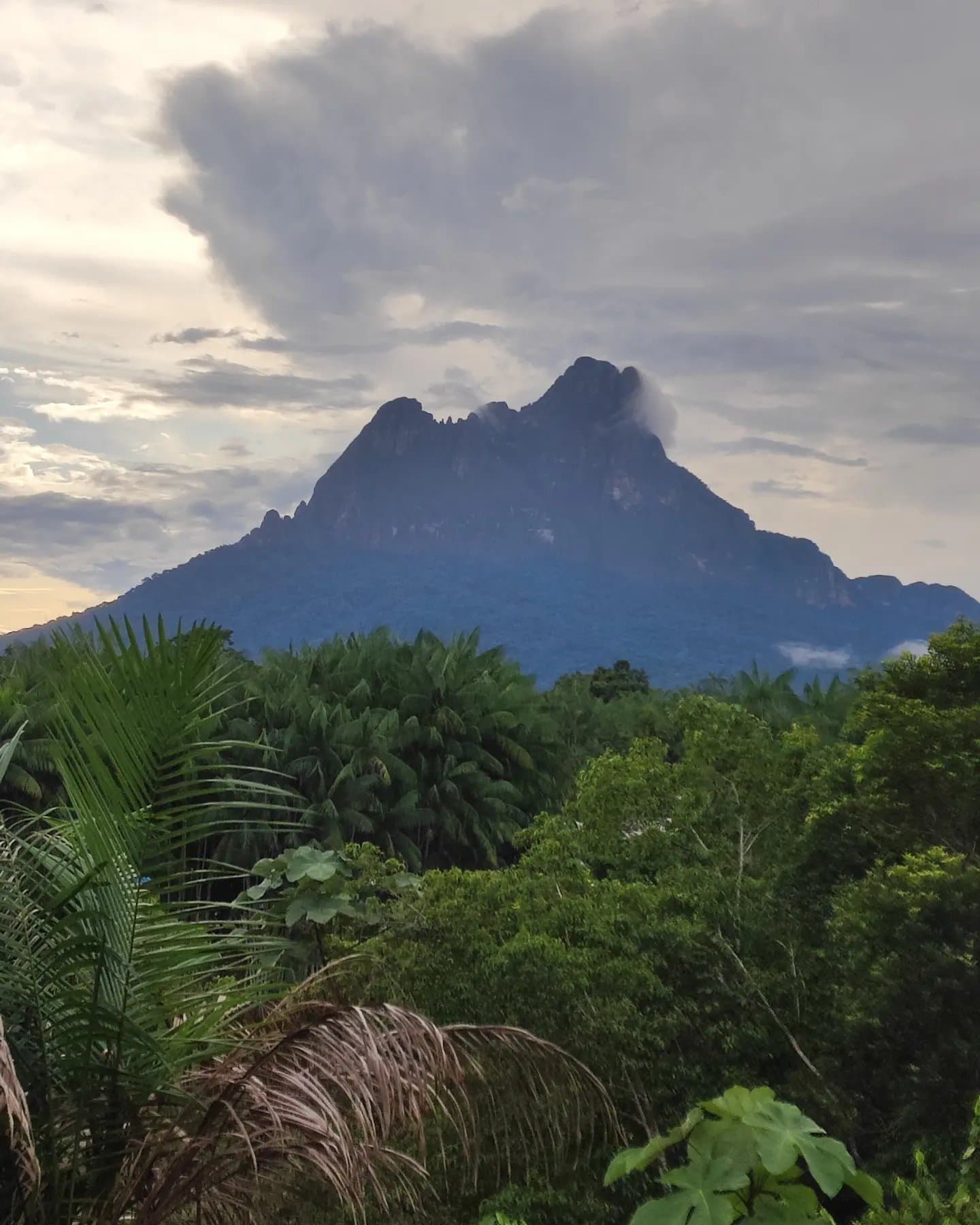 Wolken schuiven aan, de berg trekt zich er niets van aan. Zo'n top doet dat. Gekartelde rotsachtige top van de Pico da Neblina Expedition die boven een dicht Amazone-regenwoud uittorent onder een dramatisch bewolkte avondlucht