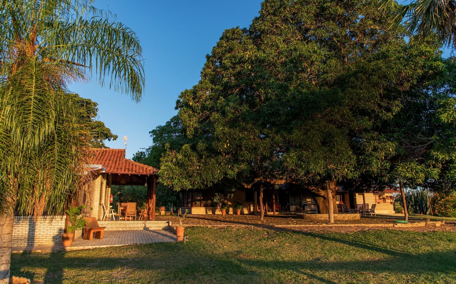 Un coucher de soleil tranquille et de l'ombre généreuse, avant que la nature prenne le relais. Bâtiments en brique d'un lodge ombragés par de grands arbres matures sur une pelouse verte baignée d'une lumière dorée, base d'un safari dans le sud du Pantanal avec terrasse couverte et chaises en bois