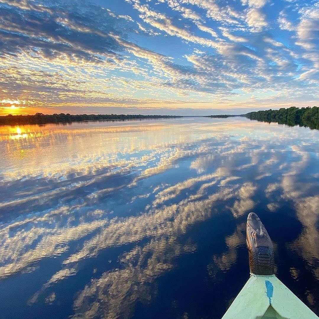 So ruhig, dass man nicht mehr weiß, wo der Himmel aufhört und der Fluss anfängt. Blick vom Bug eines Holzbootes auf einem Amazon-Dschungelkreuzfahrt in Brasilien, mit einer geschnitzten Kaiman-Galionsfigur, die auf einen spiegelglatten Schwarzwasserfluss zeigt, der einen goldenen Sonnenaufgang und vereinzelte Wolken reflektiert, mit dichtem Regenwald an beiden Ufern
