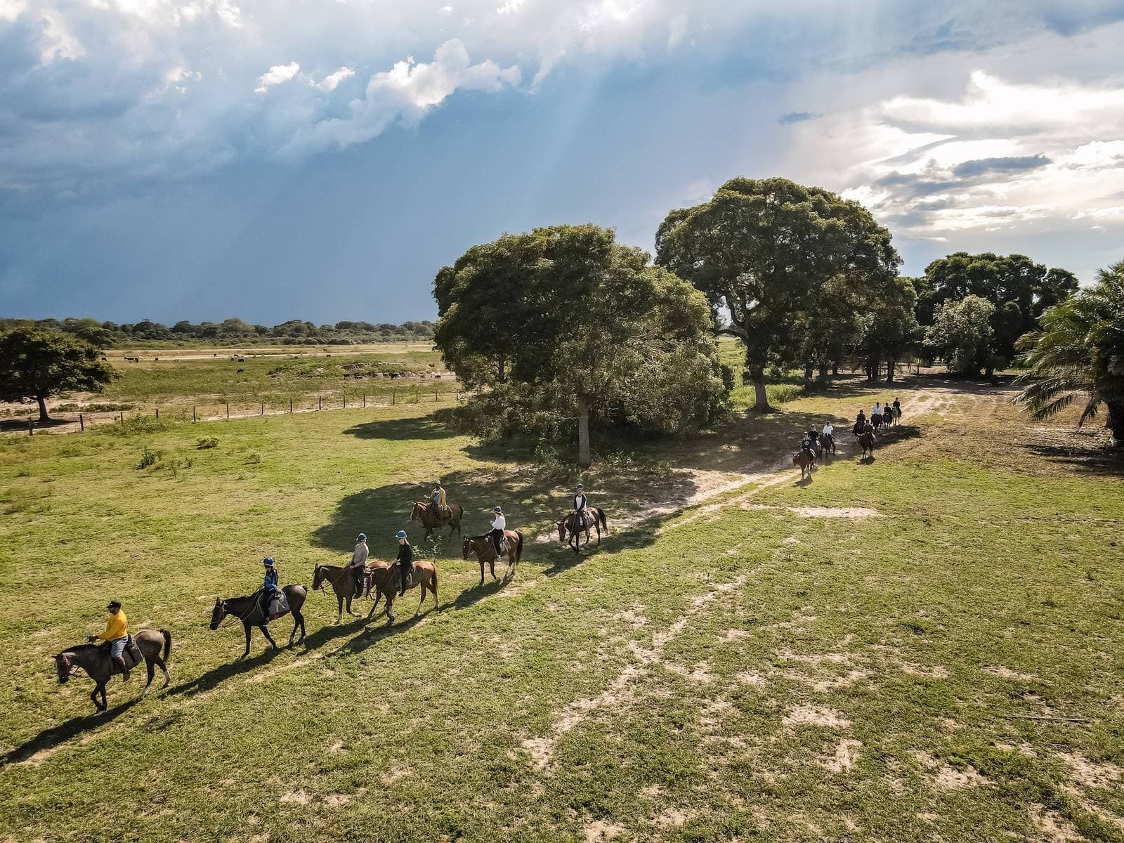 Im Pantanal hat das Pferd das letzte Wort über die Route. Luftaufnahme einer Reitergruppe, die auf einem Schotterweg durch grüne Felder reitet – Teil einer günstigen Pantanal-Tour mit dramatischem Wolkenhimmel im Hintergrund