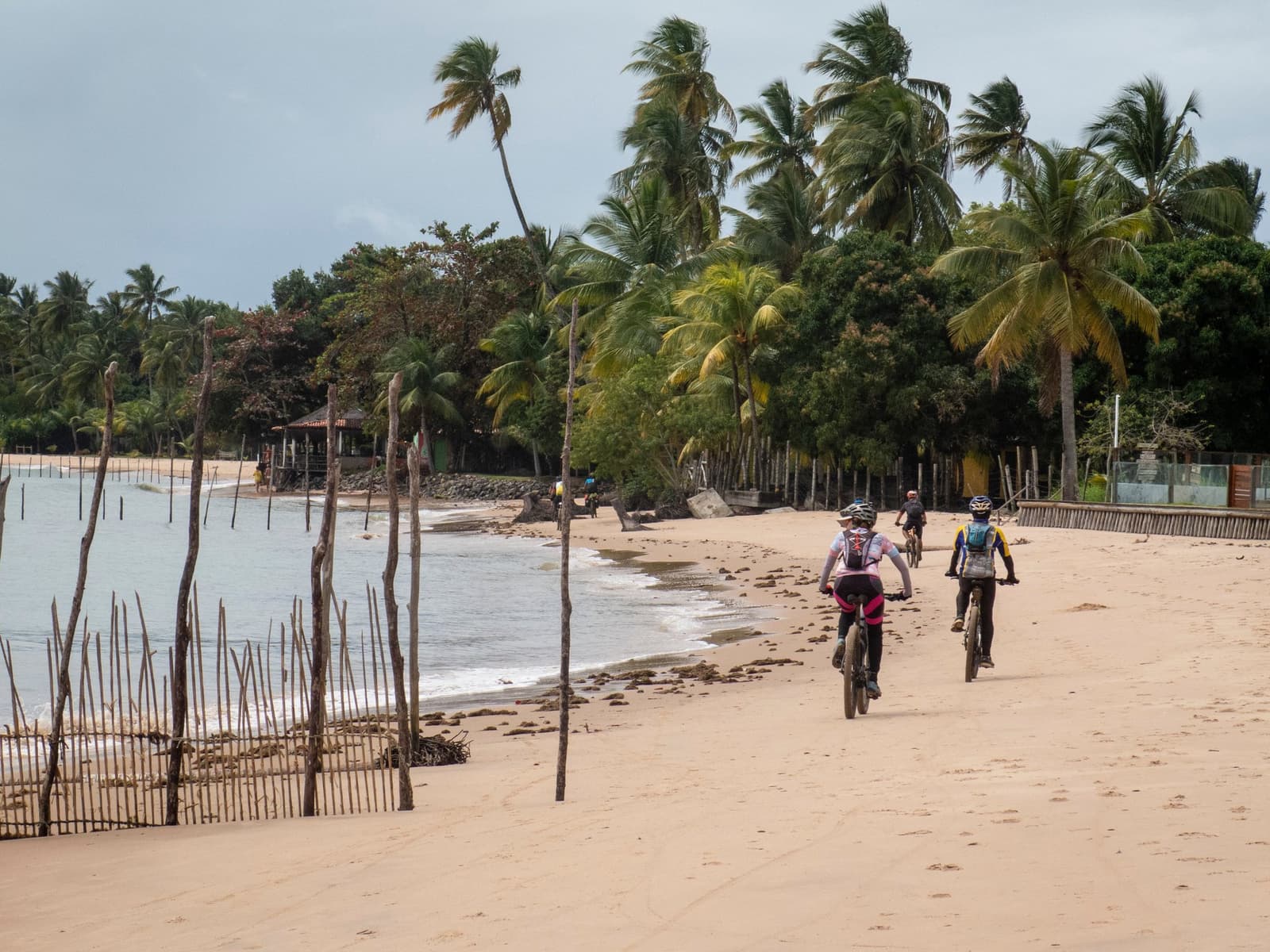 A areia firme sob as rodas, os coqueiros balançando no vento, e ainda muita estrada pela frente. Um grupo de ciclistas pedala pela rota ciclística da Bahia ao longo de uma ampla praia de areia clara, ladeada por coqueiros e uma cerca rústica de madeira, com o mar calmo ao lado