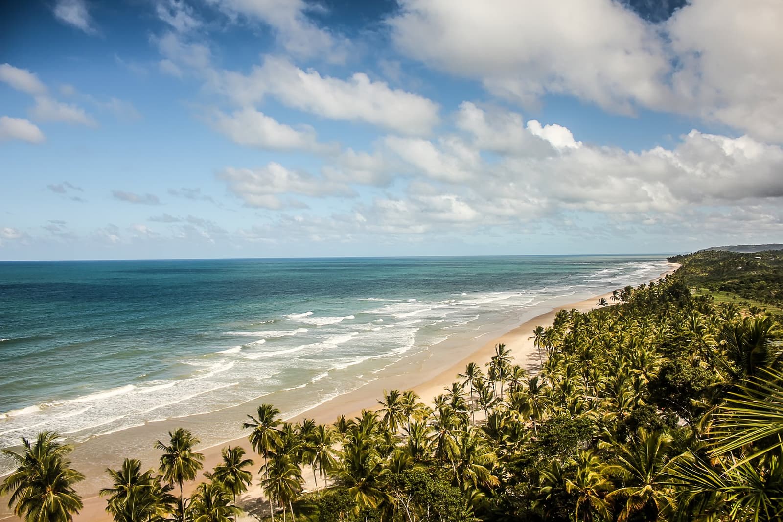 Costa aberta, coqueiros até o horizonte, e a estrada ainda por vir. Photo: MaFelipe Vista aérea de uma longa faixa de areia ladeada por coqueirais densos e Mata Atlântica, com ondas turquesas quebrando sob um céu parcialmente nublado ao longo do roteiro de ciclismo na Bahia