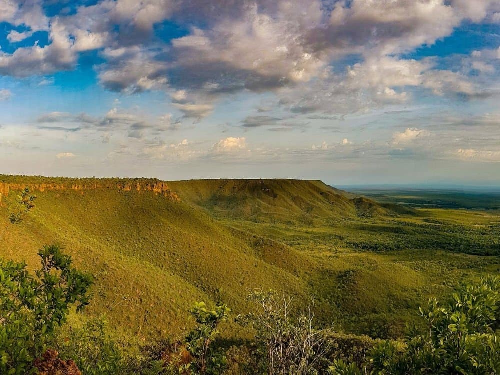 Chapada aberta, céu largo, e o parque inteiro lá embaixo. Vista panorâmica de um platô de arenito com topo plano coberto por vegetação do Cerrado durante uma aventura no Jalapão, com luz dourada da tarde na escarpa e céu azul com nuvens até o horizonte