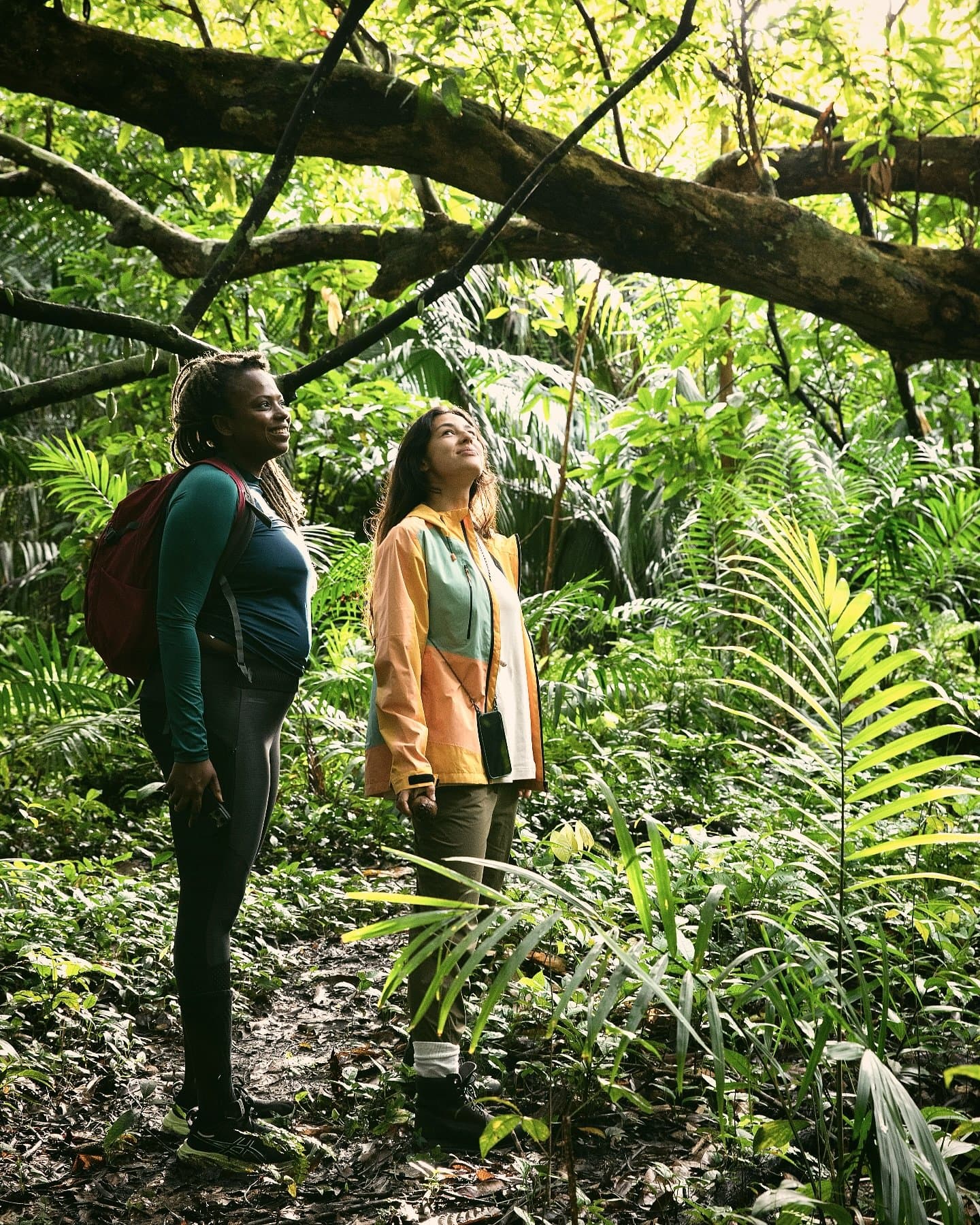 La canopée parle à qui sait s'arrêter deux secondes. Deux femmes s'arrêtent sur un sentier de jungle à Mirante do Gavião, les yeux levés vers la canopée de fougères et de palmiers tropicaux baignée de lumière