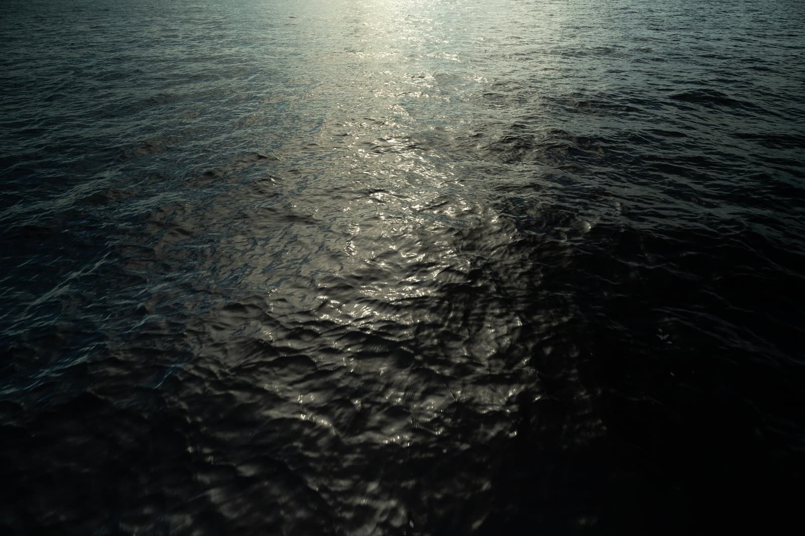 Stil water, scherp licht. De rivier bepaalt de sfeer voordat het woud het overneemt. Donker, licht gerimpeld rivieroppervlak met een smalle strook zonlicht die over het water reflecteert