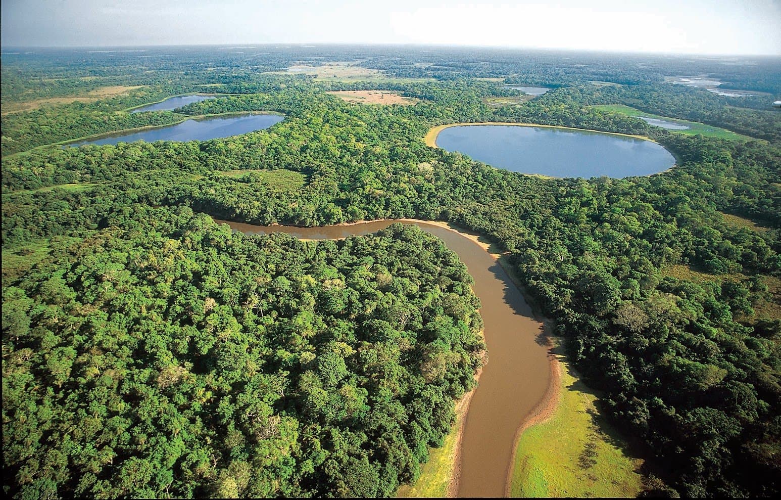 Autant d'eau, autant de forêt, ça se mérite depuis un petit avion. Vue aérienne d'un paysage de safari dans le sud du Pantanal, avec une rivière sinueuse aux eaux brunes, une forêt-galerie dense et plusieurs lagunes en fer à cheval à perte de vue