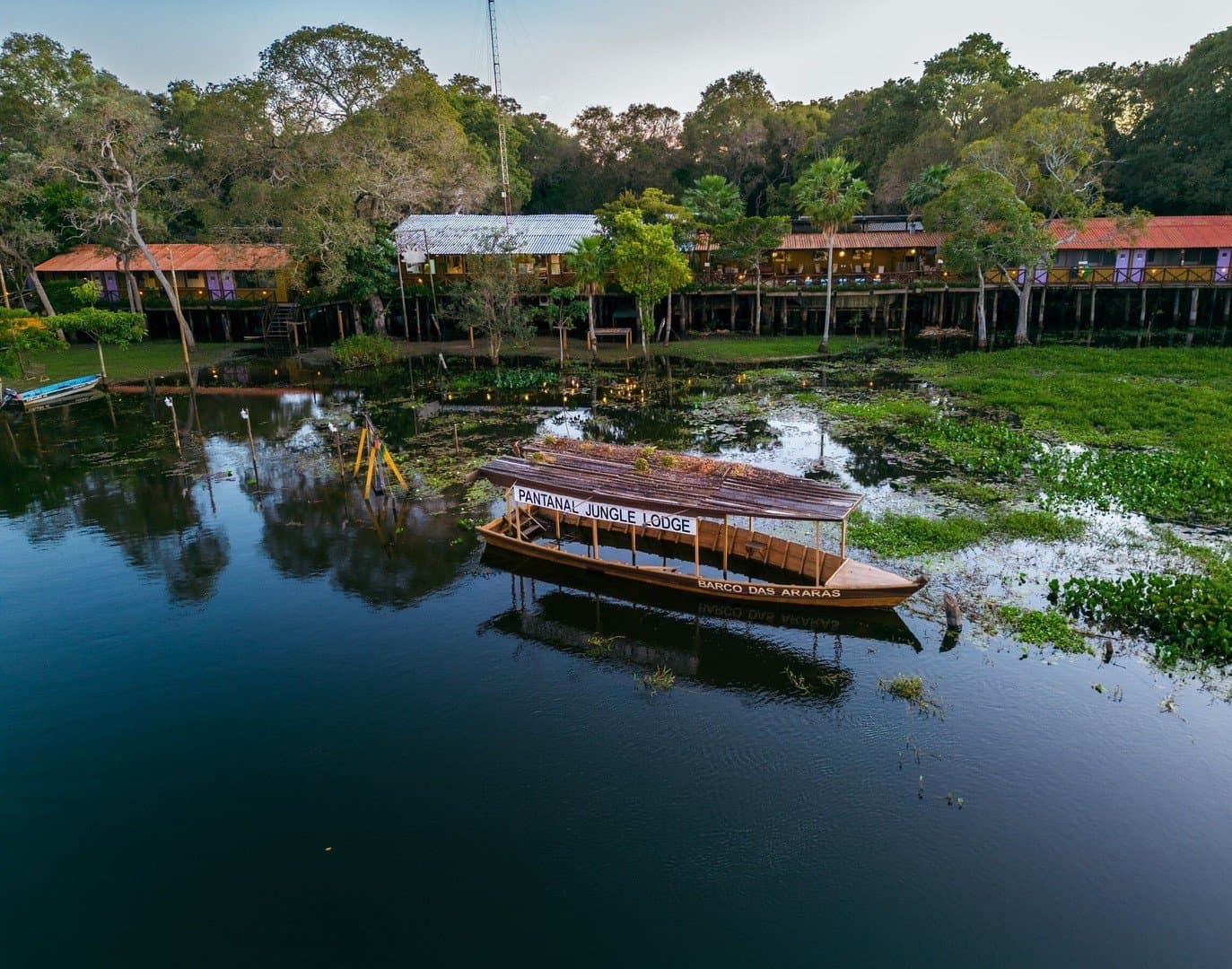 Ankunft auf dem Wasser, umgeben von Seerosen und Stille. Luftaufnahme der Pantanal Jungle Lodge an einem ruhigen Gewässer, mit dem hölzernen Ausflugsboot 'Barco das Araras' im Vordergrund zwischen Wasserpflanzen und Stelzenhäusern im Schatten dichter Bäume