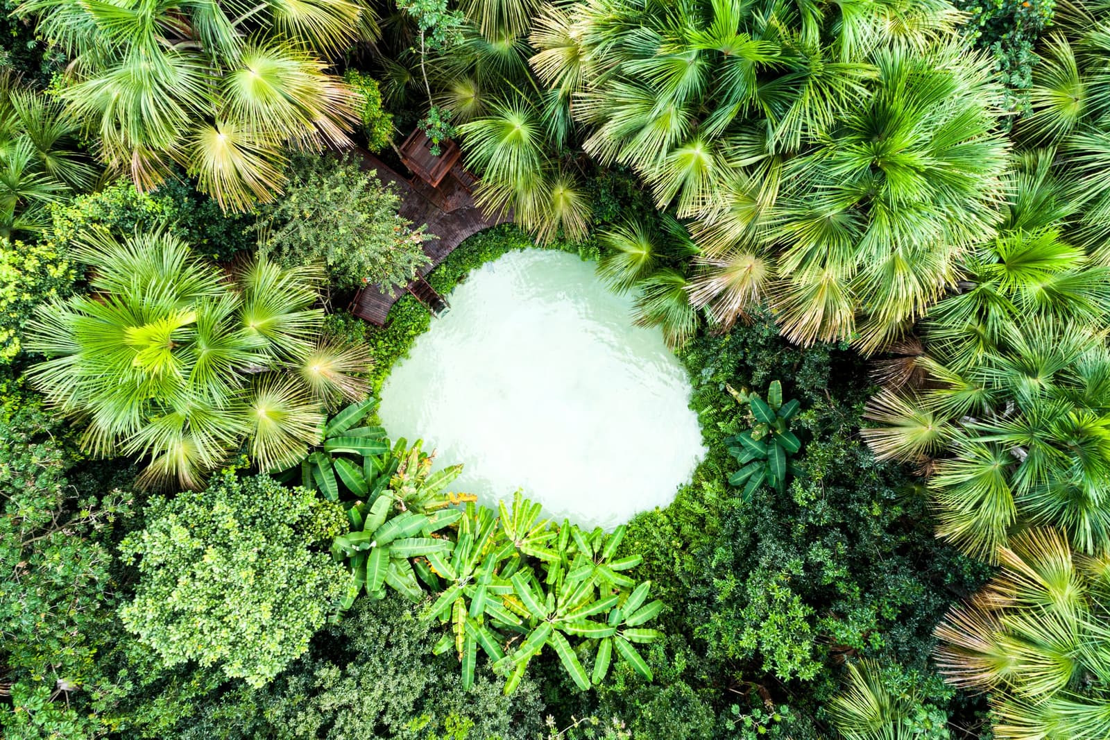 O Cerrado esconde coisas assim, e não avisa ninguém. Photo: FG Trade Vista aérea de cima para baixo de um fervedouro circular de águas turquesa leitosas, cercado por uma densa copa de buritis e vegetação tropical no Jalapão