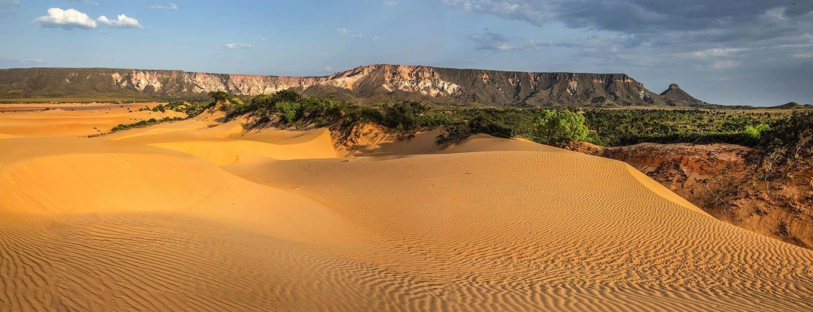 Sand, rock, and cerrado in the same frame. Jalapão keeps you guessing. Golden sand dunes with wind-rippled ridges in the foreground of a jalapão trip highlight, backed by a green belt of cerrado vegetation and a flat-topped sandstone escarpment under a partly cloudy sky