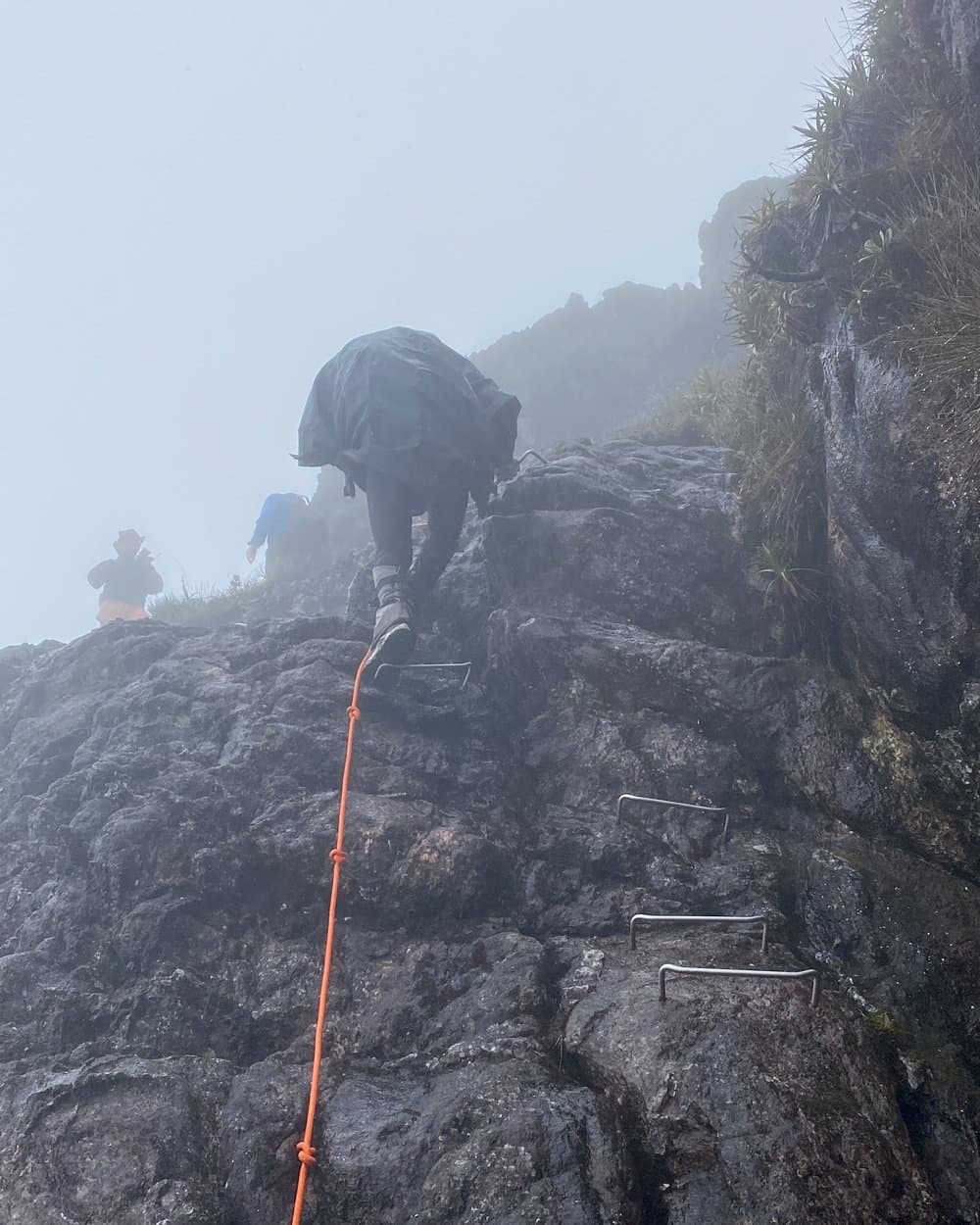 Regenjas aan, mist om je heen, top ergens boven je hoofd. Wandelaars in regenkleding die tijdens de Pico da Neblina Expeditie omhoog klimmen over een natte, mistige granieten rotswand, geholpen door een oranje veiligheidstouw en in de rots geboorde ijzeren beugels