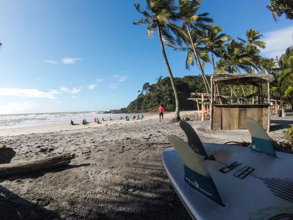 De les is begonnen, en de boards liggen te popelen om het water in te gaan. Een surfboard met FCS-vinnen ligt op het zand op de voorgrond terwijl een groep surflessen in Itacaré volgt op een strand omzoomd met palmbomen en Atlantisch regenwoud