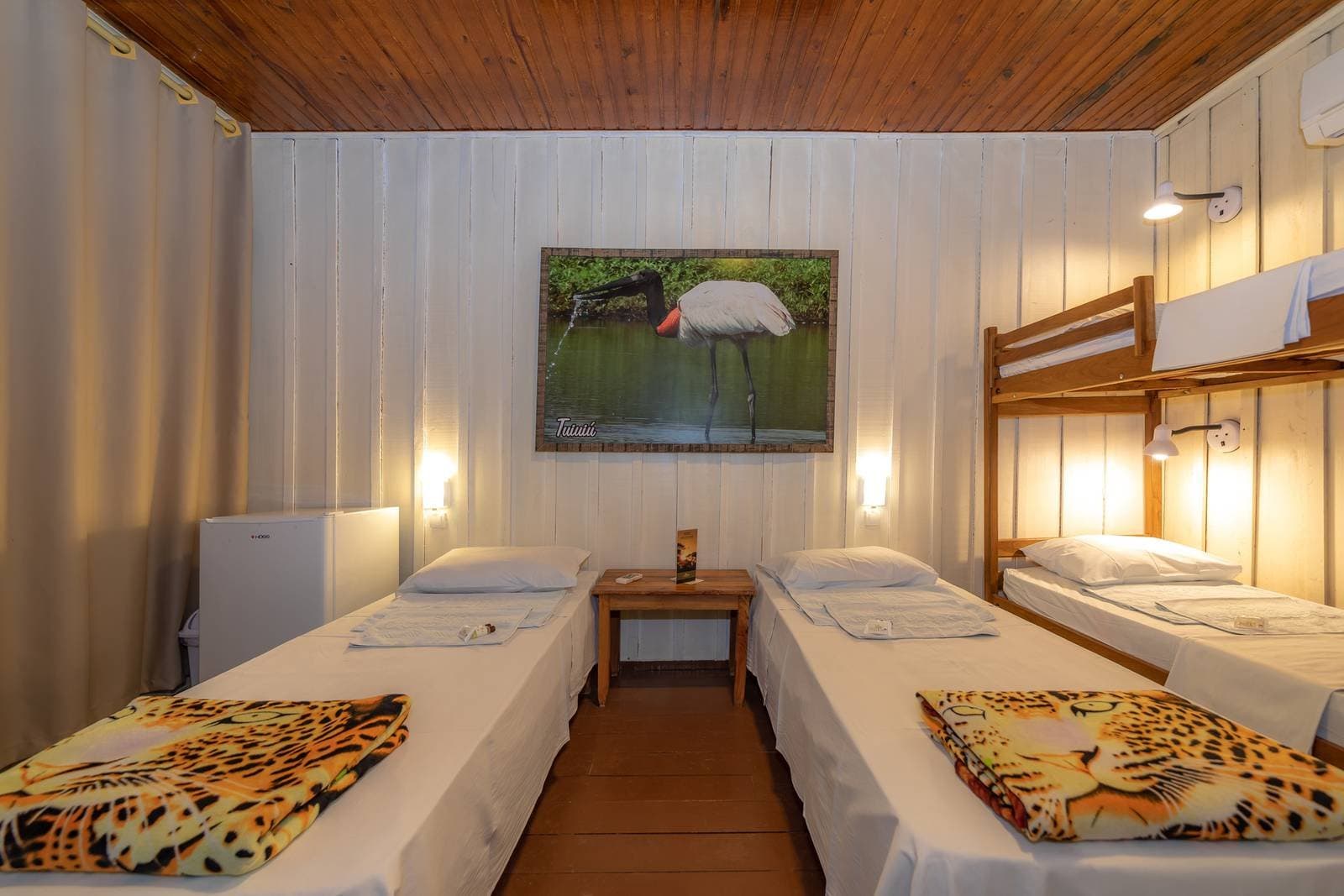 Jaguarmuster auf der Decke, ein Jabiru an der Wand, gut schlafen garantiert. Gemütliches Mehrbettzimmer einer Budget-Unterkunft im Pantanal mit zwei Einzelbetten mit Jaguardecken, einem Holzetagenbett, warmem Wandlicht, Holzdecke und einem gerahmten Jabiru-Foto an der weiß vertäfelten Wand