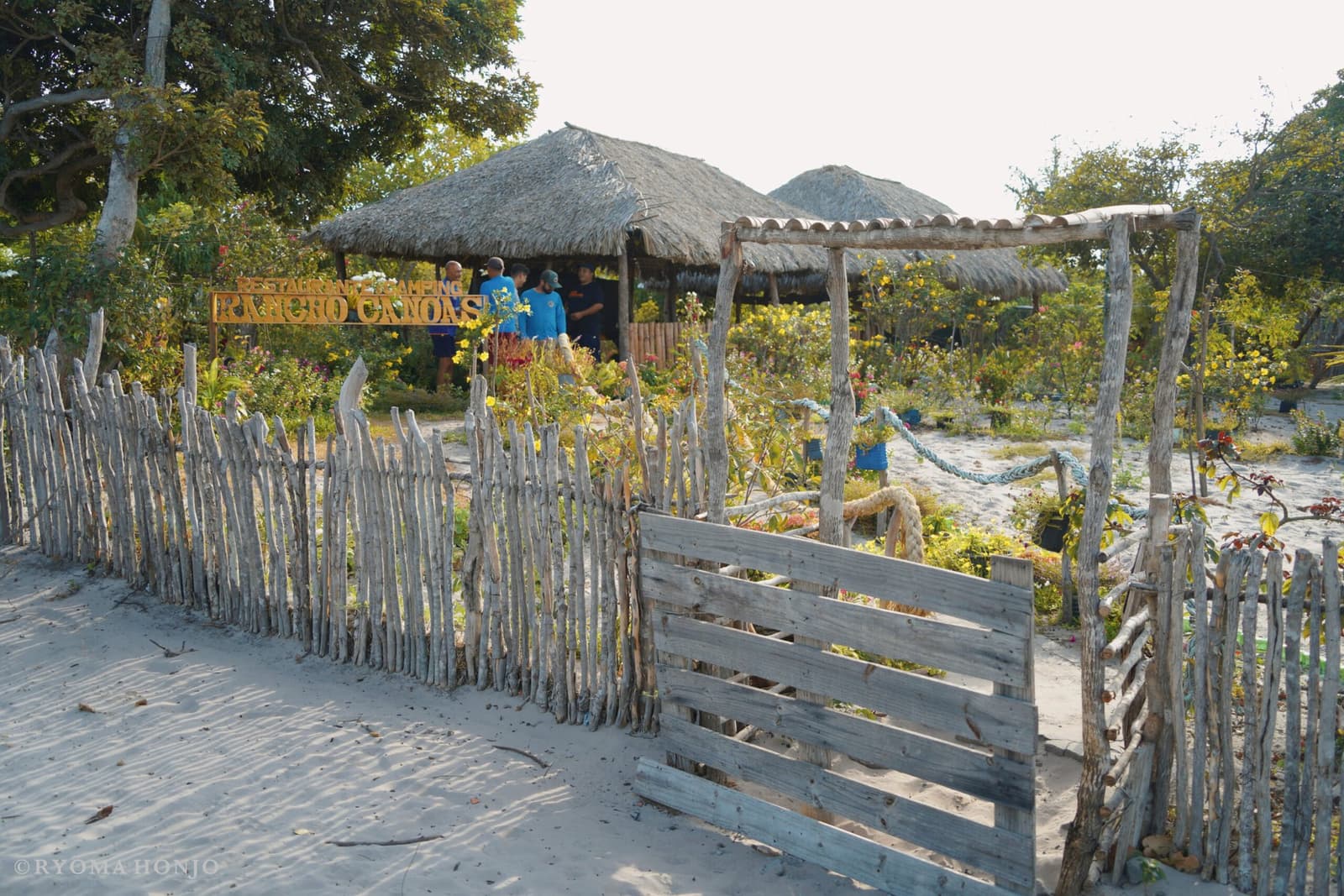 Ce genre d'adresse qui ne figure sur aucune carte, mais que tout le monde finit par connaître. Entrée rustique du restaurant et camping Rancho Canoas à Lençóis Maranhenses Santo Amaro, avec une clôture en bois flotté, des cases au toit de chaume, des arbustes en fleurs et des guides en chemises bleues à l'intérieur