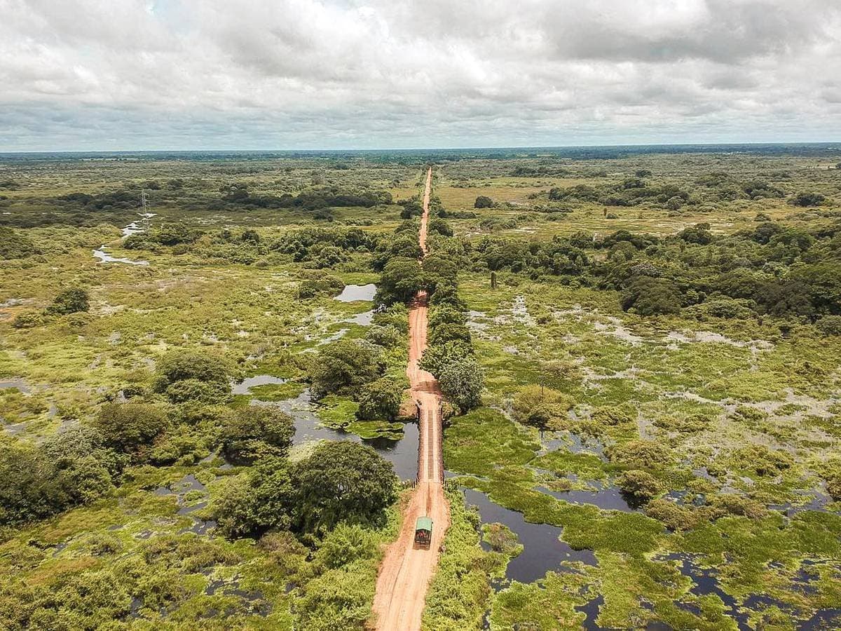 Une piste rouge, un pont de bois, et le Pantanal qui s'étire jusqu'au bout du ciel. Vue aérienne d'une piste en terre rouge traversant le paysage de savane inondée du Pantanal Sud, avec un 4x4 à toit vert franchissant un pont en bois entouré de prairies inondées, de lagunes sombres et de bosquets dispersés à perte de vue.