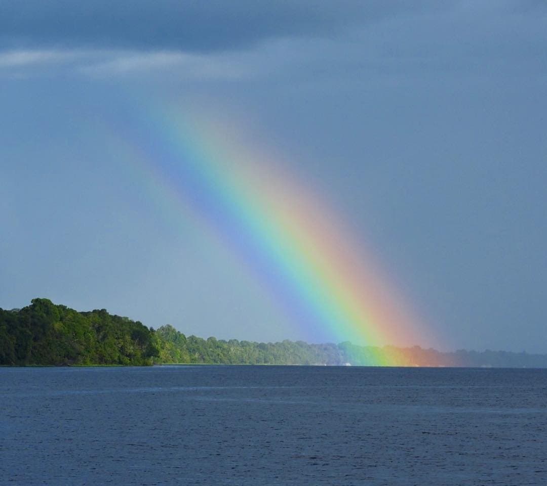 Na Amazônia, até as tempestades sabem como se despedir. Um arco-íris vívido desce do céu nublado até a superfície do Rio Negro, com uma densa faixa de floresta amazônica cobrindo a margem oposta