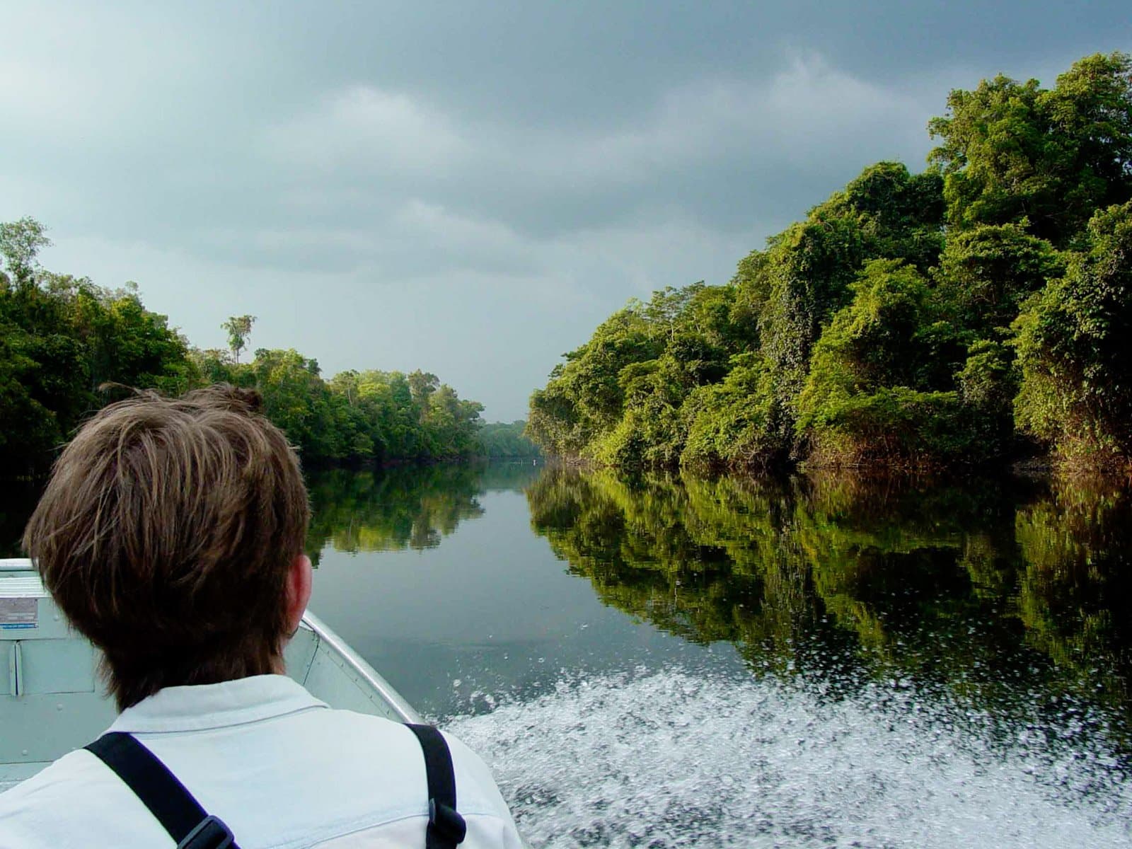 Quarante minutes sur la rivière, et le monde extérieur semble déjà lointain. Photo: Jorge Lopes Passager vu de dos sur un bateau à moteur glissant sur une rivière calme bordée d'une dense forêt amazonienne, sous un ciel nuageux