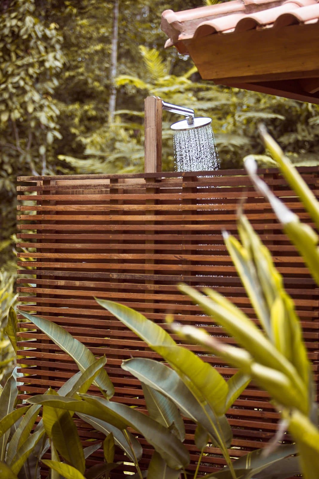 Rinse off the trail mud here, forest still close on every side. Photo: | SamuelMelim Photography An open-air rain shower head running water above a slatted hardwood privacy screen, surrounded by lush tropical foliage at a jungle lodge suited for birdwatching in the Amazon rainforest