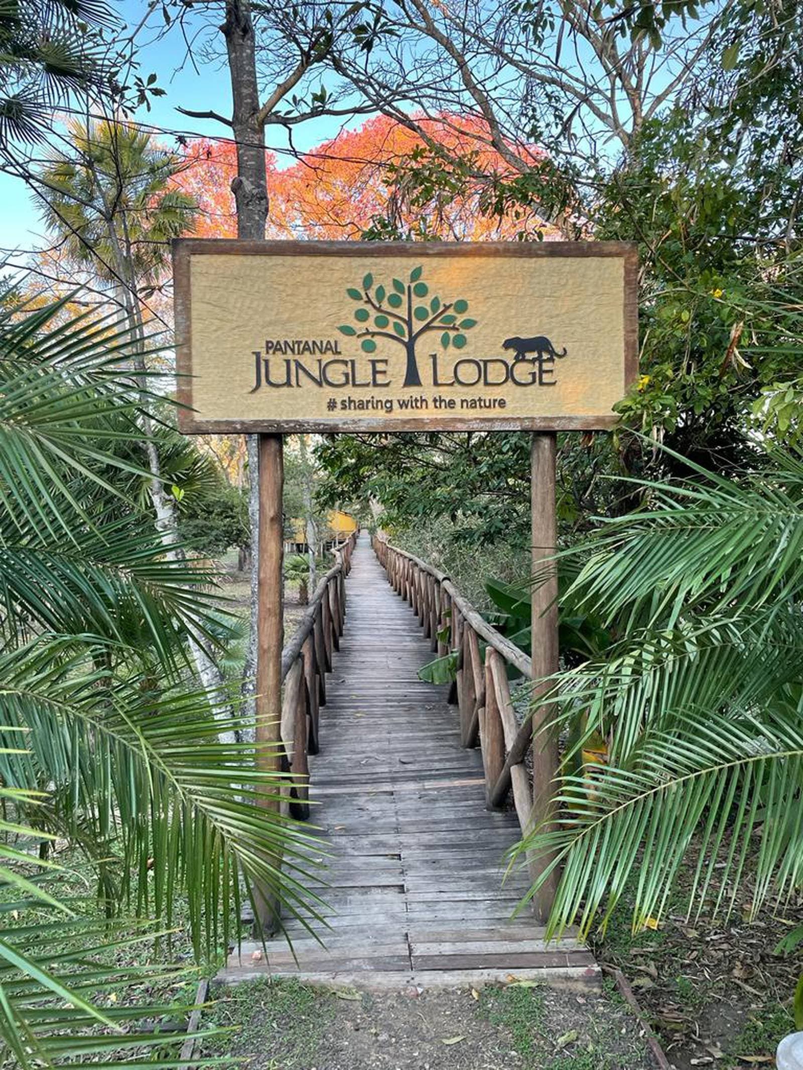 Dieser Steg ist kurz, aber er führt weit weg vom Alltag. Hölzerne Eingangsbrücke zum Pantanal Jungle Lodge, eingerahmt von Palmwedeln und einem Baum mit leuchtendem orangefarbenem Laub