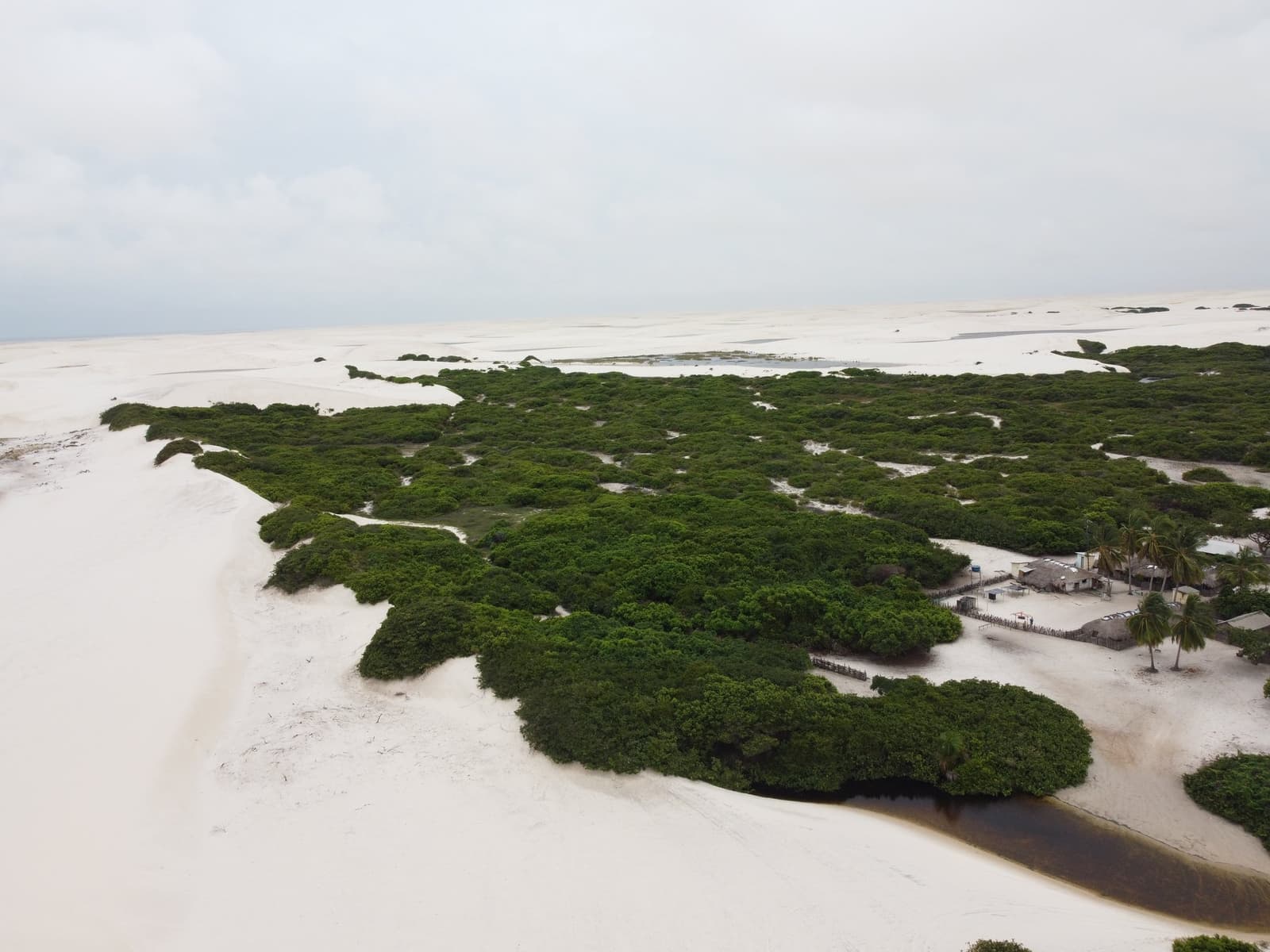 Areia de um lado, verde do outro, e o horizonte como árbitro. Vista aérea do oásis da Baixa Grande no trek pelos Lençóis Maranhenses, com uma ilha de vegetação densa e um pequeno núcleo de casas cobertas de palha cercado por vastas dunas de areia branca sob céu nublado